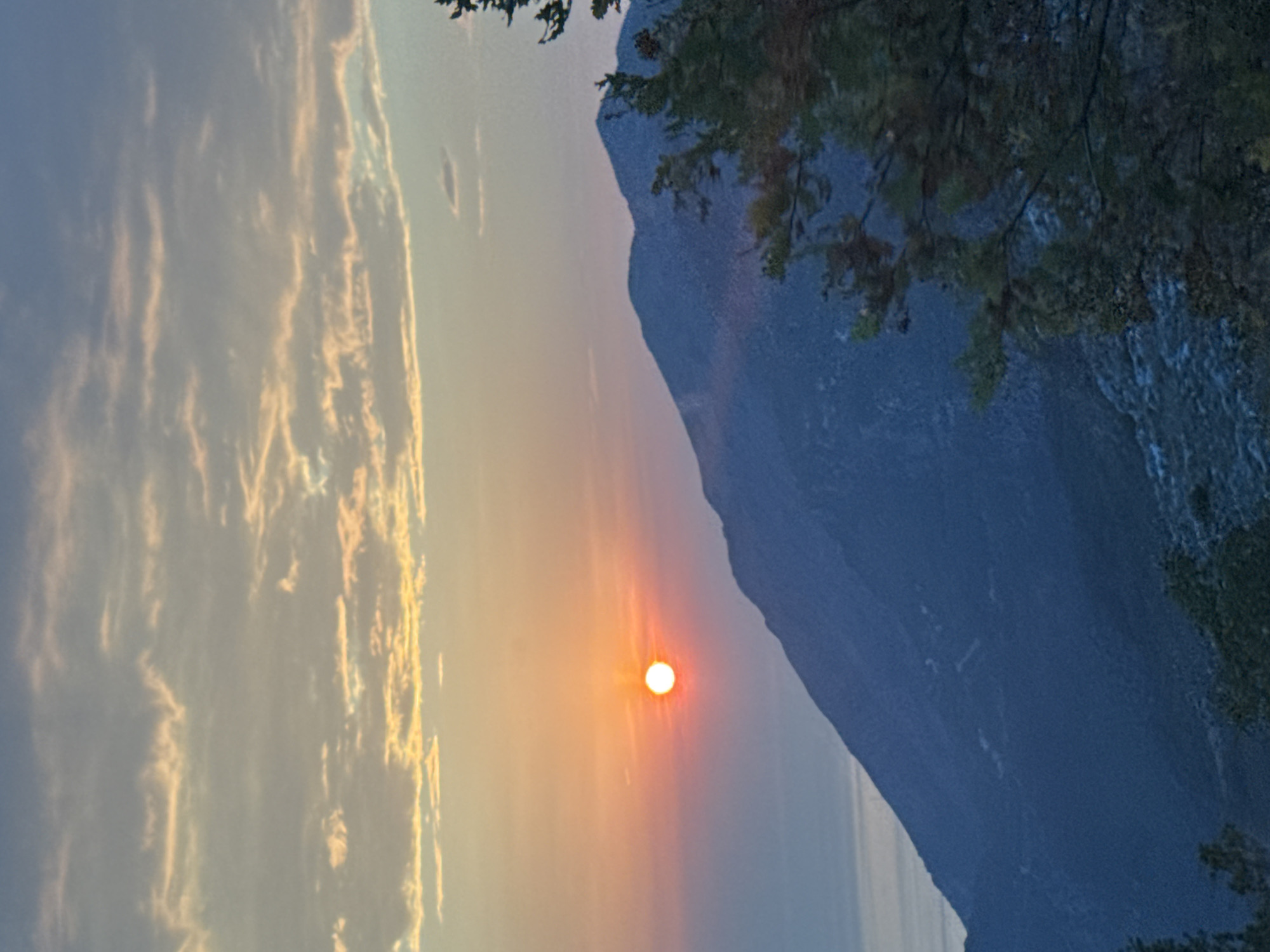 The image depicts a sunset over a mountainous landscape near the city of Đurovići, Montenegro. The sun, a bright orange orb, is low on the horizon, casting a warm glow across the sky and illuminating the clouds with shades of yellow and pink. The sky transitions from a pale blue at the top to a soft gradient of orange and pink towards the horizon. In the foreground, a dark, silhouetted mountain range dominates the scene, its slopes covered in sparse vegetation. To the right of the mountain, a cluster of dark green trees with visible branches and foliage partially obscures the view. The distant background shows a body of water, likely the sea, merging with the hazy horizon. The overall impression is one of natural beauty and tranquility, with the fading light creating a peaceful atmosphere.