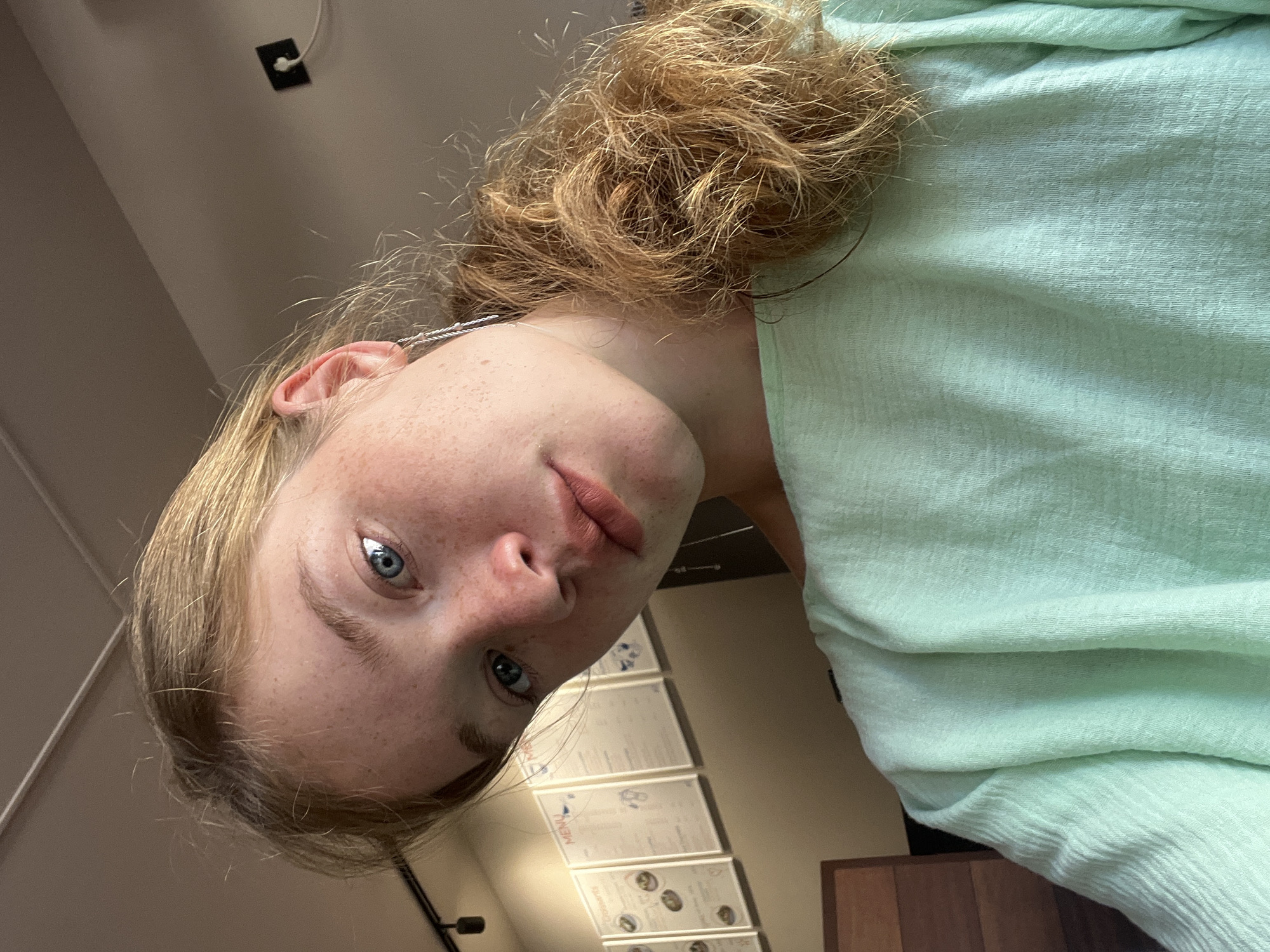 A close-up, slightly tilted, selfie of a young woman with light brown hair pulled back into a messy bun. She has light skin with freckles and blue eyes. She is wearing a light mint green textured long-sleeved shirt. The background shows a wall with framed menus and a portion of a wooden table or booth. The scene appears to be indoors, possibly a cafe or restaurant, based on the menus displayed. The image quality suggests it was taken with a smartphone. There are no other people or animals visible in the frame. The location in Donji Pobori, Montenegro is not discernible from the visual elements of the image.