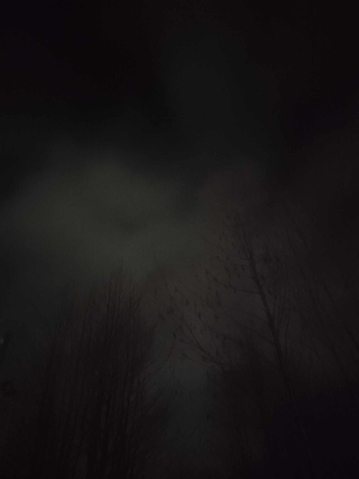 The image appears to be taken outdoors at night in Chaikovsky, Russia, based on the presence of leafless trees silhouetted against what may be a cloudy or foggy sky. There are no people visible in the frame. The environment seems dark and potentially cold given the leafless state of the trees. A blurry greyish form looms behind the tree branches. There is a very faint, blurred shape of an object or structure on the left-most part of the image. The overall scene is dark and unclear, with the main visible subjects being the bare tree branches against the dark sky.