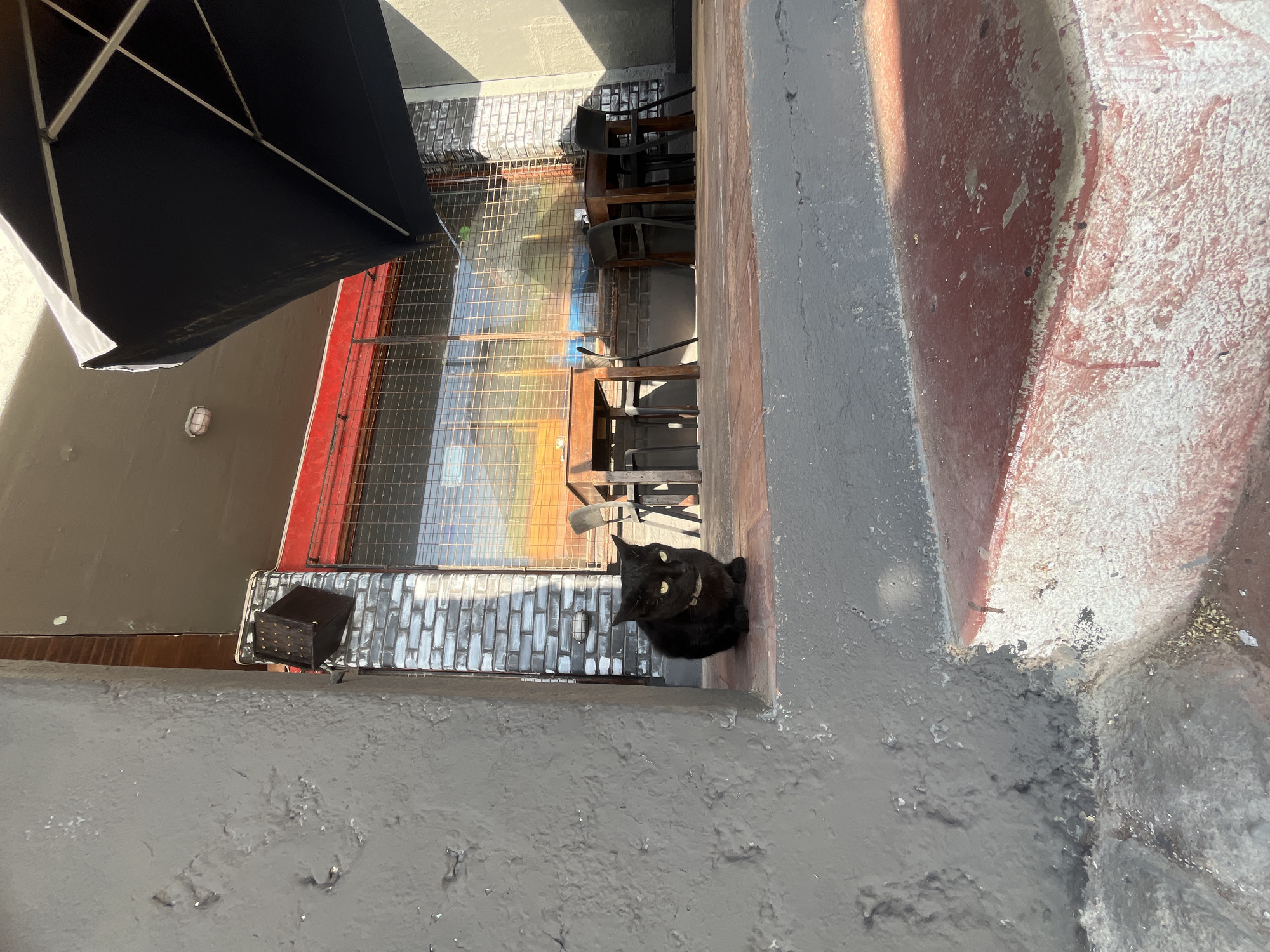 An eye-level, medium shot depicts an outdoor urban scene, possibly in Arica, Chile, featuring a black cat. The cat sits on a grey, painted concrete surface, with its yellow eyes prominent. Behind the cat, there is a metal grate covering what appears to be a small outdoor seating area with tables and chairs. A black umbrella partially obscures the view of the tables. The concrete surface transitions to a reddish-grey painted wall or structure on the right side of the frame. The background is a mix of textures and surfaces, suggesting an urban environment.