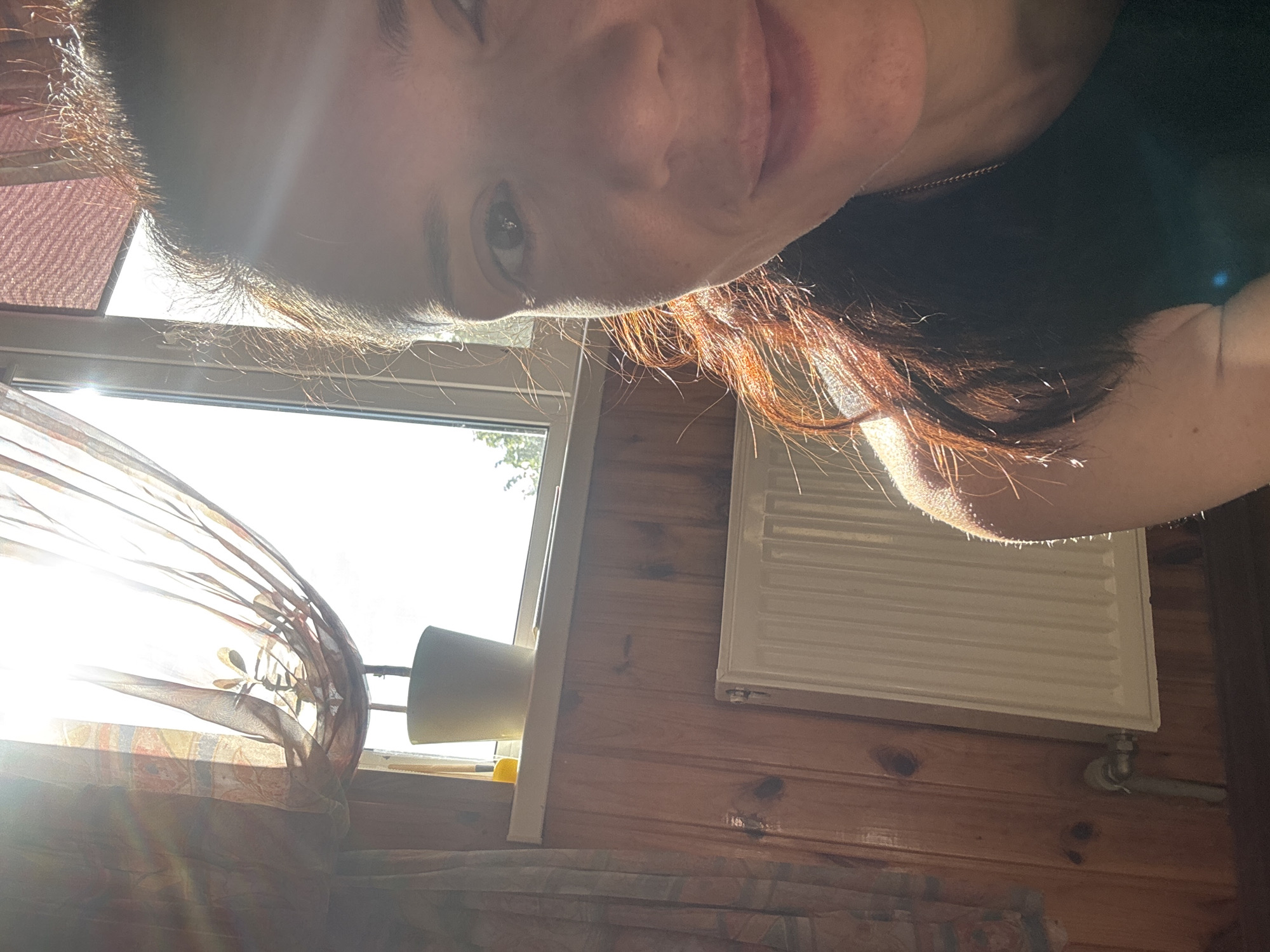 In a dimly lit room with wood-paneled walls, a woman's face is partially illuminated by strong sunlight streaming through a window. The sunlight creates a lens flare effect and highlights strands of her reddish-brown hair. She is wearing a dark top, and a thin chain necklace is visible. A white radiator is mounted on the wall below the window. A potted plant sits on the windowsill. A sheer curtain hangs to the left of the window. The scene suggests an indoor setting, possibly a home, with natural light as the primary illumination source. The location within the city is unknown.