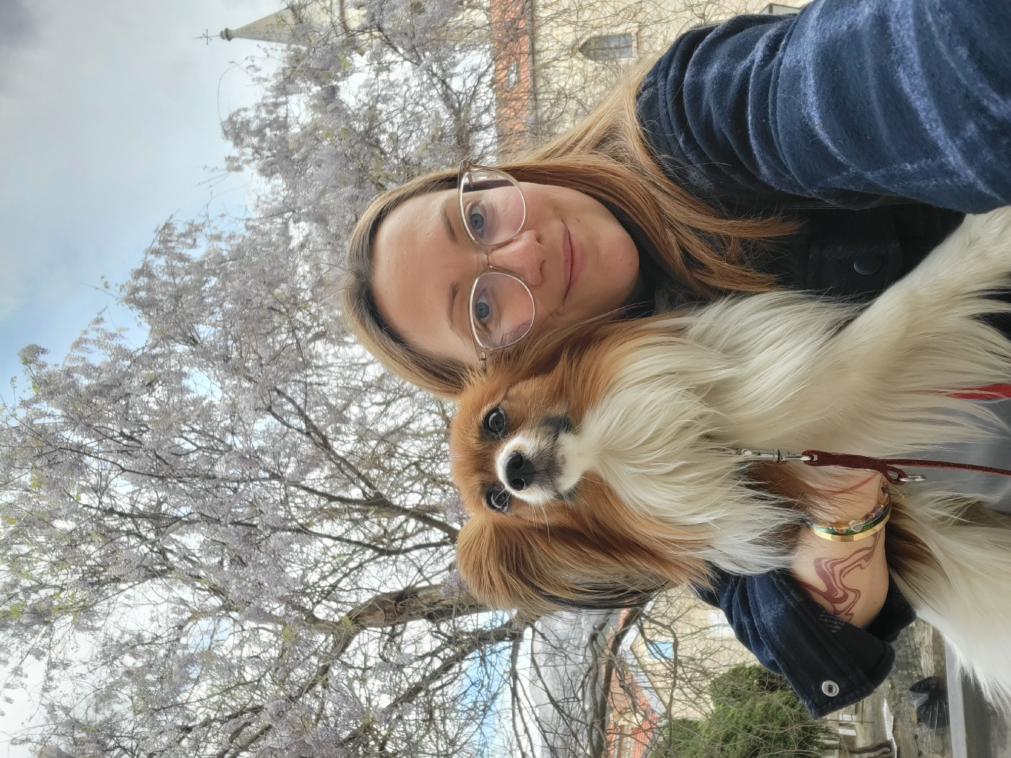 A selfie shows a woman with light brown hair, glasses, and a navy blue jacket holding a Papillon dog with long, flowing white and brown fur. The dog is facing the camera with its head tilted slightly. The woman is smiling. They appear to be outdoors, with a tree covered in light purple blossoms visible in the background. A building with a spire is visible in the background. The location is possibly in Budva, Montenegro. The woman has a tattoo on her wrist and several bracelets.