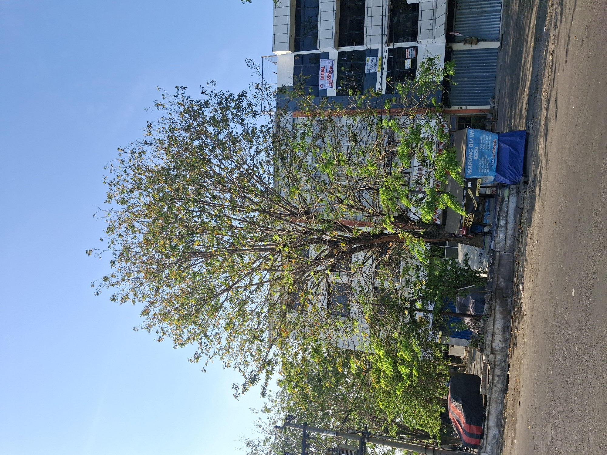 The image depicts a street scene in Surabaya, Indonesia. A large tree with green and yellowing leaves stands prominently in the foreground, obscuring parts of the buildings behind it. To the right, a modern, multi-story building with dark windows and white accents is visible. A sign reading "DUVAL" is displayed on the building. In front of the buildings, a row of closed storefronts with corrugated metal shutters lines the street. To the left of the large tree, a utility pole with electrical equipment is present. Various objects are situated along the sidewalk, including what appear to be covered vehicles or equipment, and a blue tarp stands near a sign that reads "WARUNG BU IIN" and lists menu items. The street itself is paved and appears to be mostly empty of vehicles and pedestrians, suggesting it might be early morning or a quiet part of the day. The sky is clear and blue, indicating fair weather.