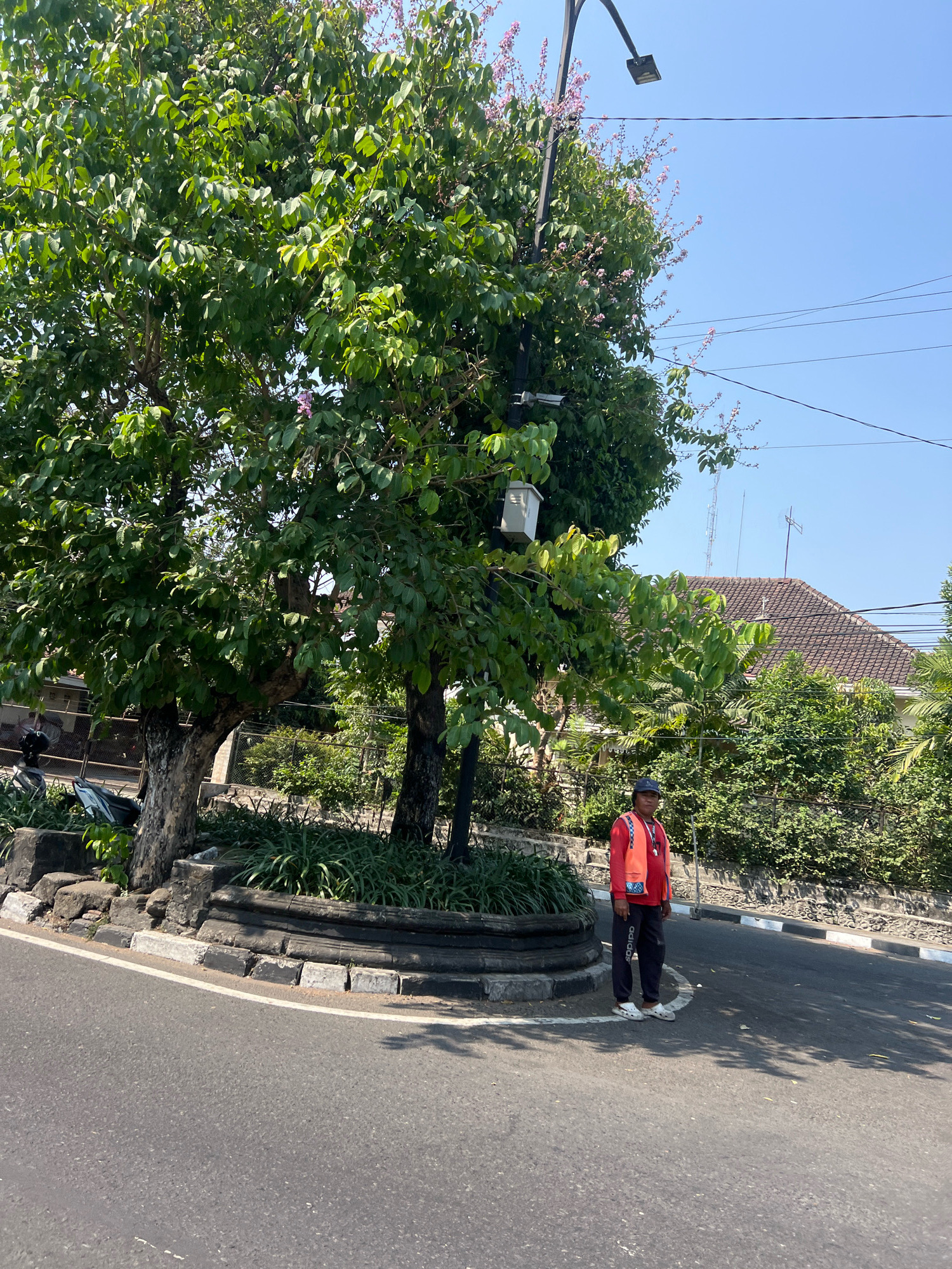A person wearing an orange vest and a blue baseball cap stands on the side of a road in front of a tree. The person is wearing a red long-sleeved shirt, dark pants with "adidas" written on the leg, and white sandals. The person is looking towards the camera. The road is paved and has a white line on the edge. There is a circular planter in the foreground with green plants and a tree. In the background, there is a house with a tiled roof and lush green foliage. A lamppost is visible on the left side of the image, with a security camera attached. The sky is clear and blue. The scene appears to be in the city of Yogyakarta, Indonesia, judging by the architectural style of the house and the overall tropical environment.