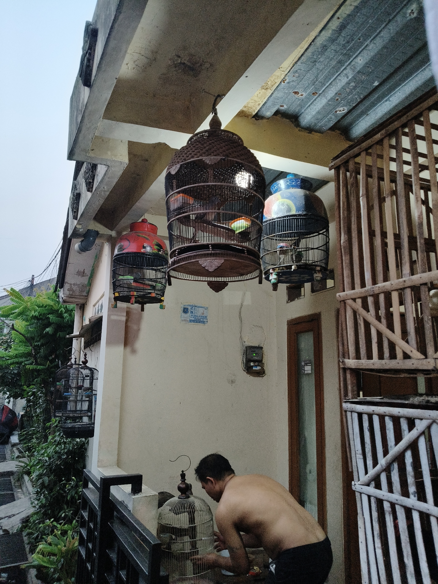 In South Tangerang, Indonesia, an outdoor scene unfolds under an overcast sky, possibly in the early morning or late afternoon given the soft lighting. A man, shirtless and wearing dark shorts, is bent over a birdcage, appearing to interact with the bird inside. He is positioned near a low black metal railing and a cream-colored wall. Above and behind him, three birdcages hang from an overhang supported by a building structure. Two of the cages are elaborate, dark brown wicker or bamboo structures, while the leftmost cage is painted red and green with decorative patterns. A fourth, simpler, black birdcage hangs lower on the left side, near lush green foliage that spills down from a higher level. The building features a corrugated metal roof and weathered concrete elements. A wooden slatted structure, possibly an enclosure or additional cage, stands to the right. An electrical meter is mounted on the wall to the left of a wooden-framed door. The overall impression is one of a domestic outdoor space where birds are kept.