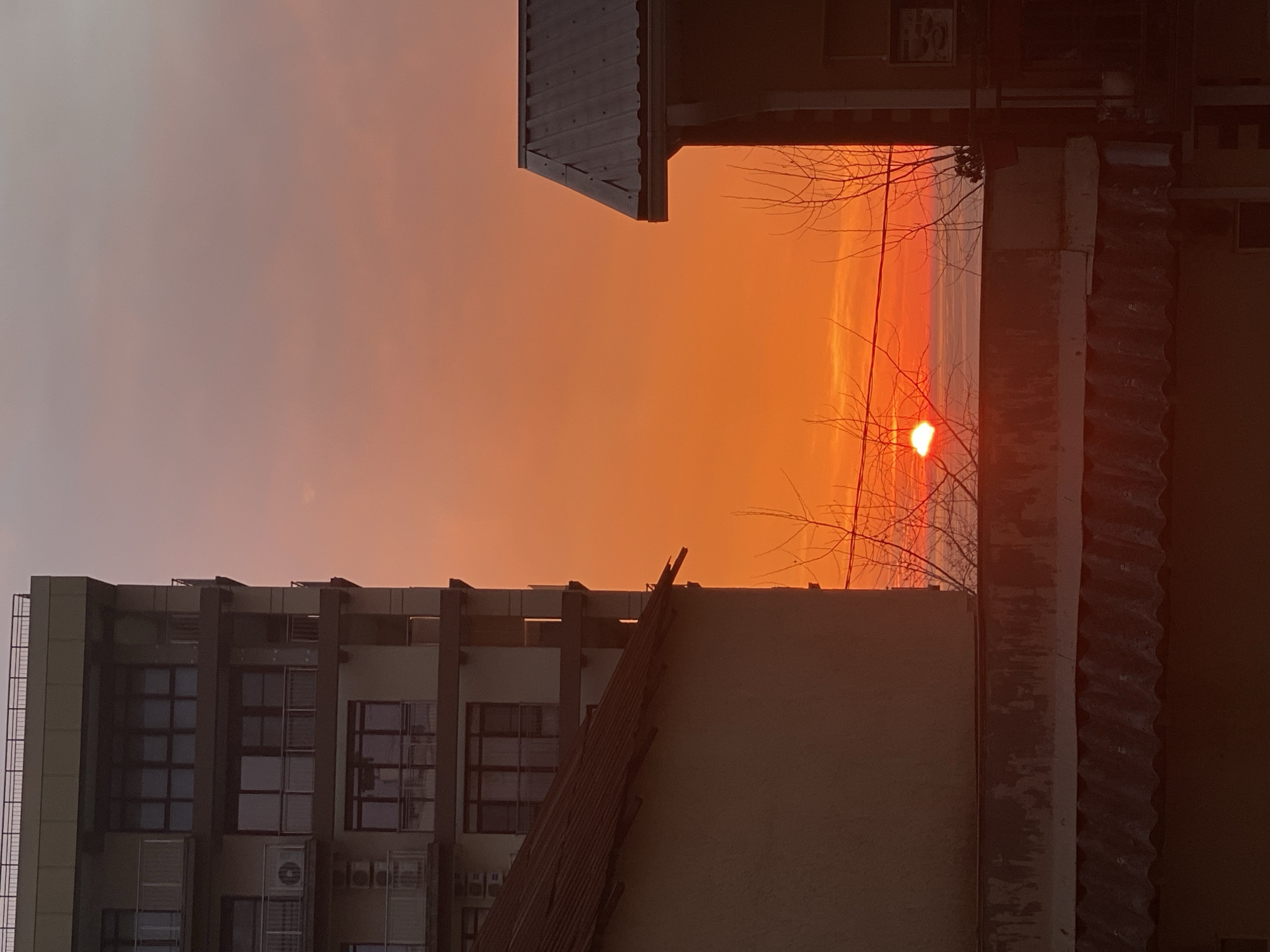 The image depicts a vivid orange sunset viewed from an urban location. In the foreground, the architecture of two buildings frames the scene. The building on the left has a modern facade with multiple windows and what appear to be air conditioning units. Leaning against the wall is a pile of lumber. On the right, a textured wall and corrugated metal roofing are visible. Bare tree branches are silhouetted against the setting sun. The location is Sochi, Russia. No people are visible.