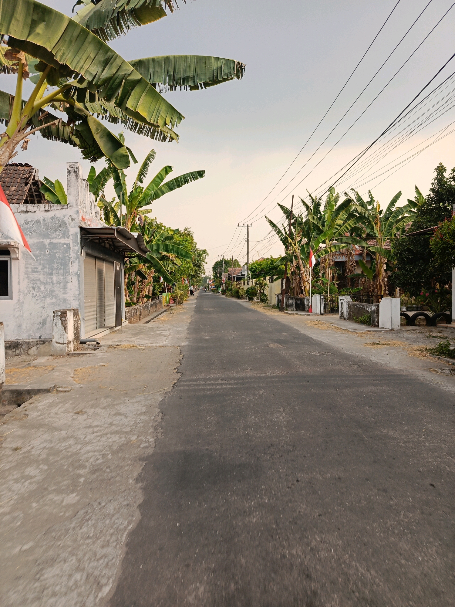 The image captures a residential street in Kincang Wetan, Indonesia, with a perspective from a low-angle, possibly while walking or riding a vehicle. A paved road dominates the center of the frame, stretching into the distance. On the left side of the road, a partially visible building with a white, weathered facade and a corrugated metal awning over a closed roll-up door is present. Banana trees with large, fronded leaves are abundant on both sides of the street, some bearing green bananas. In the background, more houses, trees, and utility poles with overhead wires are visible. Two Indonesian flags are displayed, one on the left building and another further down the street. The sky is overcast with a pale, diffused light, suggesting either early morning or late afternoon. There are no people clearly visible in the foreground, but a distant motorcycle can be seen on the road. The overall impression is a quiet, rural or semi-urban streetscape typical of Indonesian villages.