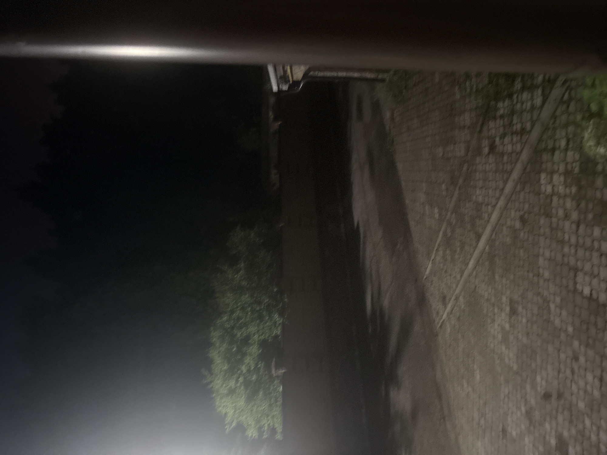 A vertical, dark brown, cylindrical object, possibly a pillar or support beam, is positioned on the right side of the frame, obscuring a portion of the background. The scene is dimly lit, suggesting it is nighttime, with artificial light sources casting shadows. In the mid-ground, a low, dark wall runs horizontally across the image, topped by dense green foliage, likely trees or bushes, which are illuminated by an unseen light source, giving them a lighter, more vibrant appearance. Beyond the foliage, the dark silhouettes of more trees form a dense backdrop against the night sky. The ground in the foreground and mid-ground is paved with cobblestones, appearing somewhat damp and reflecting the ambient light. Parallel to the wall, two faint, elongated rectangular shapes, possibly tracks or raised pathways, are visible on the cobblestone surface. The overall impression is that of an outdoor area at night, possibly a yard or pathway next to a building, with a distinct boundary formed by the wall and vegetation. The location is identified as Orekhovka, Russia.