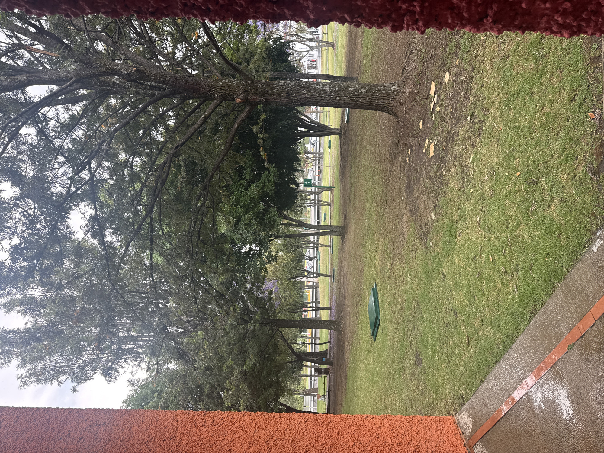 The image, likely taken on a wet day in San Andrés Cholula, Mexico, shows a view of a park through a window or opening. The foreground is dominated by the textured surfaces of the opening, colored red-brown. The scene transitions into a grassy park with a row of trees extending into the distance. Debris litters the ground near the largest tree. A green object is placed on the grass in the middle ground. Beyond the trees is a street with what appears to be pedestrian barriers or railings. In the far distance, more trees and buildings are visible. The sky is overcast, contributing to the flat lighting and muted colors.