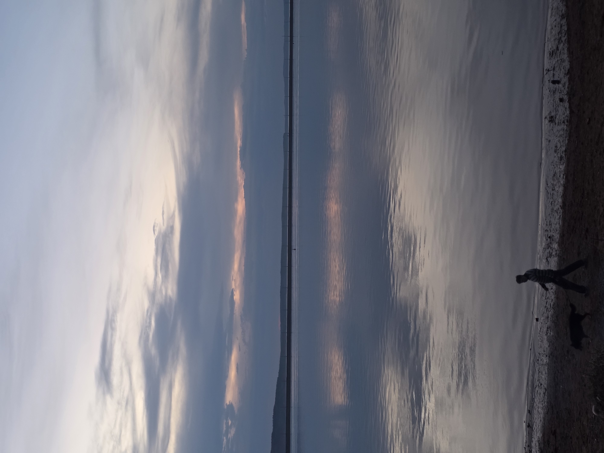 The image depicts a waterfront scene with a sky filled with clouds. The water reflects the colors of the sky. A person and a dog are walking along the shoreline. The location is Chaikovsky, Russia.