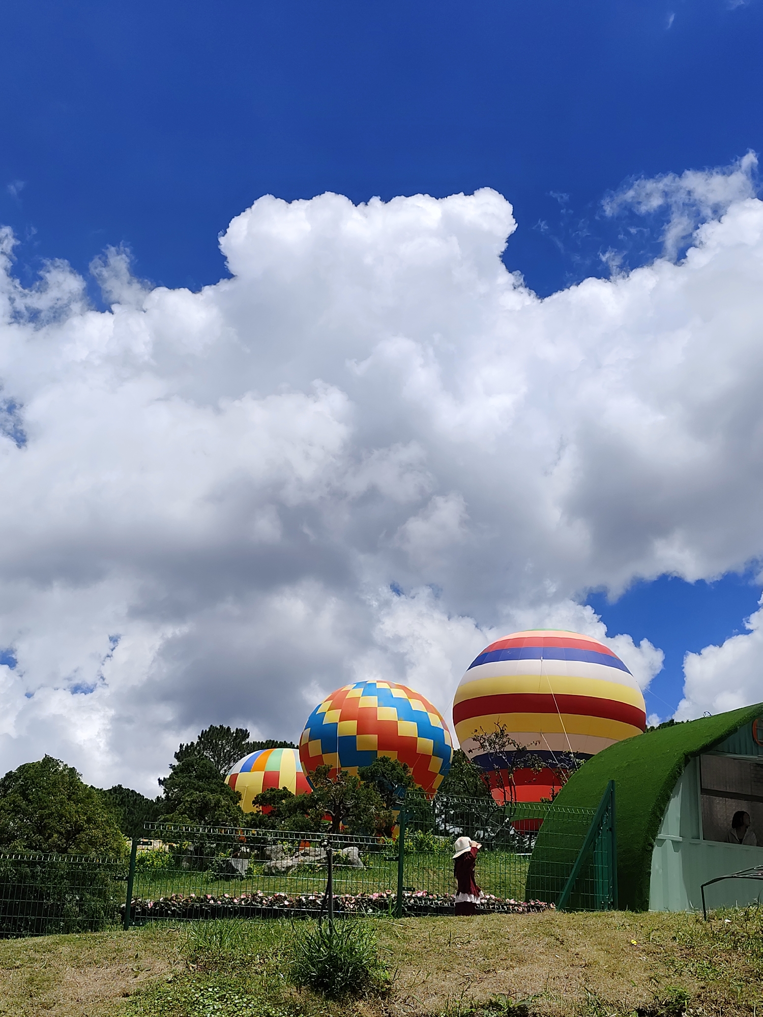 The image captures a vibrant scene with multiple hot air balloons set against a bright blue sky with scattered white clouds. In the foreground, a person wearing a hat and a red dress kneels beside a fence. The fence encloses a grassy area with a line of small flowers and some greenery. Behind the fence, three hot air balloons are visible. The balloon on the right features a striking pattern of red, yellow, blue, and white stripes. The middle balloon has a colorful checkered design in orange, blue, and yellow. The balloon on the left, partially visible, also displays a checkered pattern. Lush green trees and foliage surround the balloons. To the right, a structure with a green, grass-like roof and windows is present, with a person visible inside one of the windows. The overall impression is of a recreational area or event in an outdoor setting. This scene is characteristic of attractions that offer hot air balloon rides or displays, often found in scenic locations that draw tourists. While the exact location isn't specified in the image, it resembles attractions found in Da Lat, Vietnam, known for its picturesque landscapes and recreational activities.
