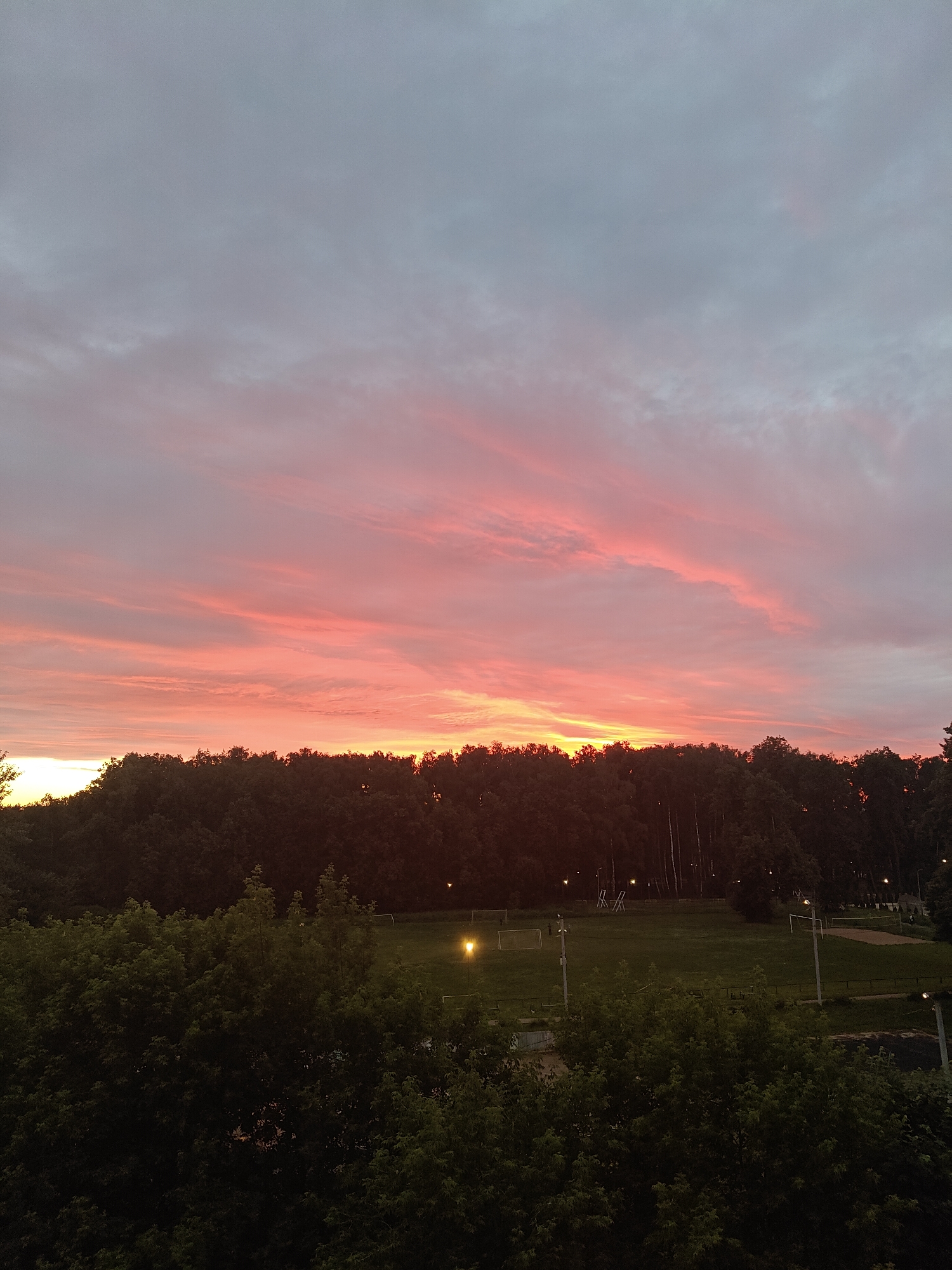 The image captures a dusk scene in Pushkino, Russia, featuring a vibrant sunset over a line of dense trees. The sky is awash with streaks of pink, orange, and gray clouds. Below the tree line, a grassy field is visible, interspersed with several soccer goals and illuminated by artificial lights. In the foreground, lush green foliage dominates, suggesting a park or recreational area. The overall atmosphere is serene and tranquil, typical of a rural or suburban setting at the end of the day. There are no people or animals visible in the frame.