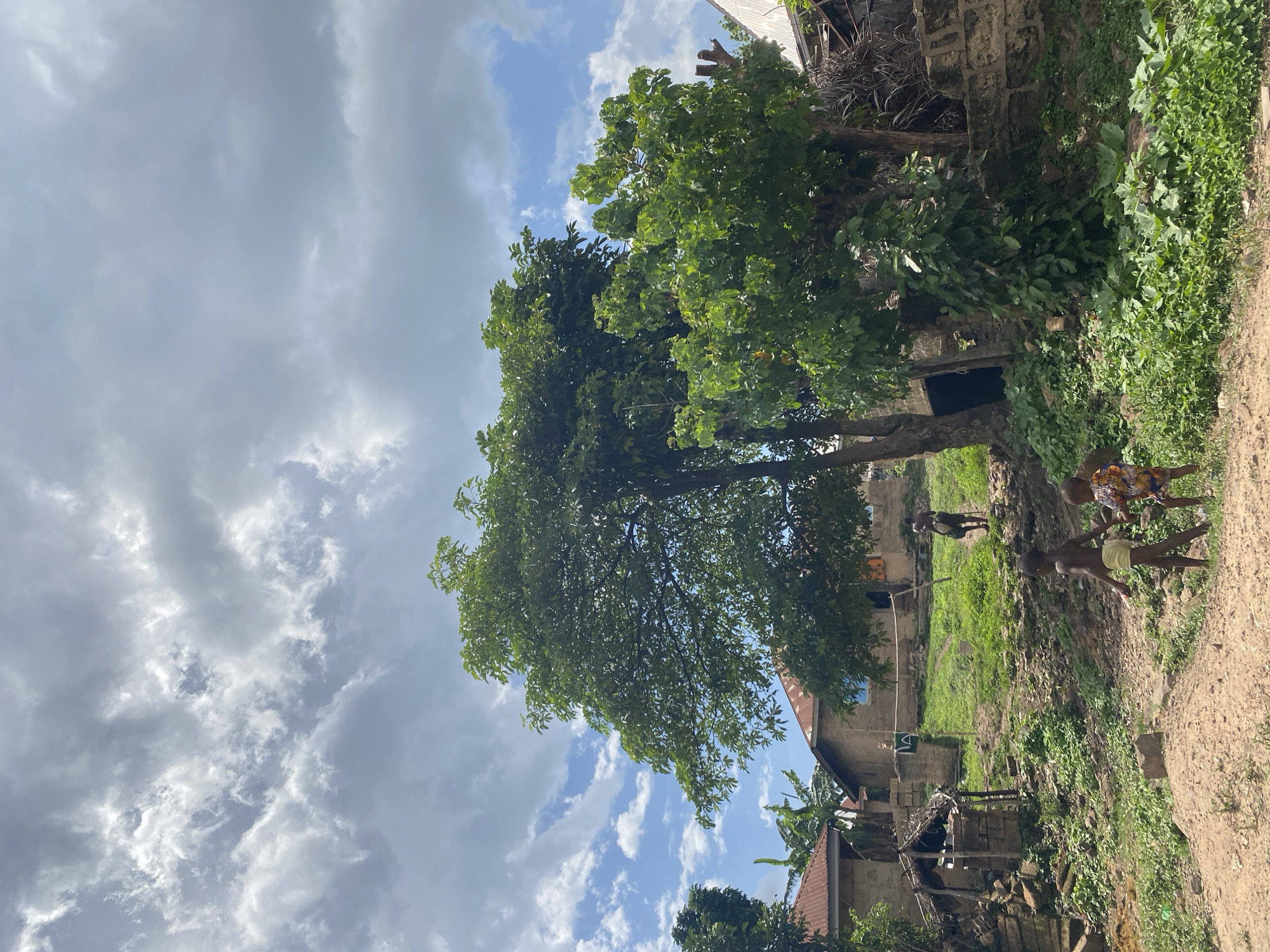 The image shows a rural scene in Amaigbo, Nigeria. Two children are walking along a dirt path. One child wears yellow shorts, and the other has colorful print shorts. Another person is seen in the background. A large tree dominates the center of the frame, with a cloudy sky overhead. Buildings, some dilapidated, are visible in the background amidst the greenery. The environment is lush with vegetation.