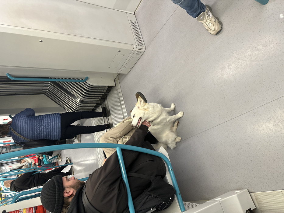 The scene depicts the interior of a modern metro train car within the Sofia Metro system in Sofia, Bulgaria. A bearded male, wearing a black beanie, dark jacket, and light trousers, is seated on a teal-framed seat on the left side of the frame. He has a black backpack next to him and is seen petting a medium-sized, white, fluffy dog that sits attentively on the light gray, speckled floor beside his feet. The dog, wearing a dark collar, is looking up at the man with its mouth slightly open. In the midground, another passenger is standing with their back to the camera, wearing a blue quilted jacket and dark trousers, and carrying a shoulder bag. Further back, additional passengers are visible, some standing and holding teal grab poles, others seated. The train's interior features light gray walls, white panels, multiple teal vertical and horizontal grab handles, and an accordion-style flexible connection between cars. A red emergency button is visible on a wall panel in the background. The lighting is artificial and bright.