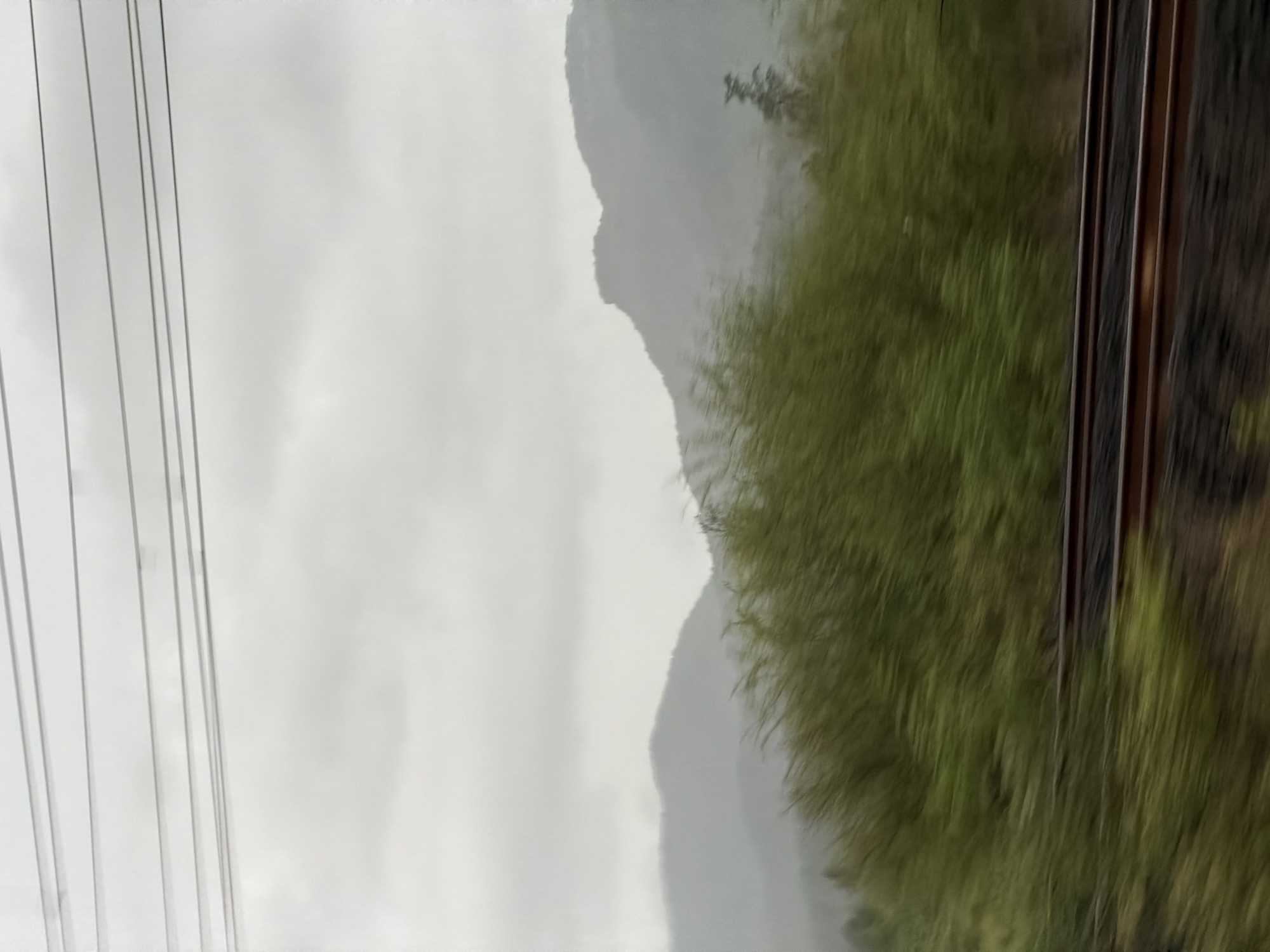 The image captures a landscape scene with motion blur, suggesting it was taken from a moving vehicle, likely a train, given the presence of railway tracks in the foreground. The environment is dominated by rolling hills or mountains in the background, partially obscured by a hazy, overcast sky. Dense green foliage, also blurred due to motion, fills the middle ground, with some taller trees visible on the right side. The railway tracks, appearing dark and metallic, run horizontally across the lower portion of the frame. The overall impression is one of a lush, natural setting under a cloudy sky. There are no people or specific identifiable landmarks in the image.