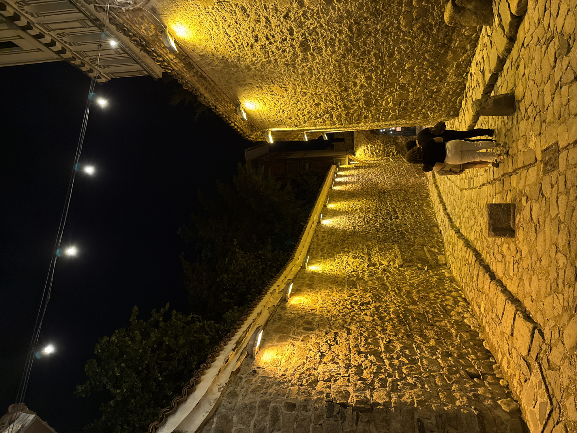 The image depicts a charming, narrow stone street in Plovdiv, Bulgaria, at night. The scene is illuminated by numerous artificial lights, creating a warm, inviting atmosphere.
The street, appearing to be an old pathway or alleyway, is flanked by rough-hewn stone walls, which are bathed in a golden-yellow light from fixtures mounted low on the walls and under architectural overhangs. These lights highlight the textured surfaces of the stone, casting soft shadows. The ground of the street is also paved with stones, likely cobblestones, reflecting the warm light.
Above, against a dark night sky, a series of bright, white string lights are suspended, providing additional illumination. On the left side of the street, the eaves of a building with ornate white detailing and traditional clay roof tiles are visible, with dark trees and foliage partially obscuring the view behind it.
In the distance, at the far end of the illuminated street, a small group of three to four people can be seen from behind. They appear to be walking or standing on the pathway, their forms partially silhouetted against the bright stone and light. The overall impression is one of a peaceful, historic evening stroll in an old town. No discernible text is visible in the image.