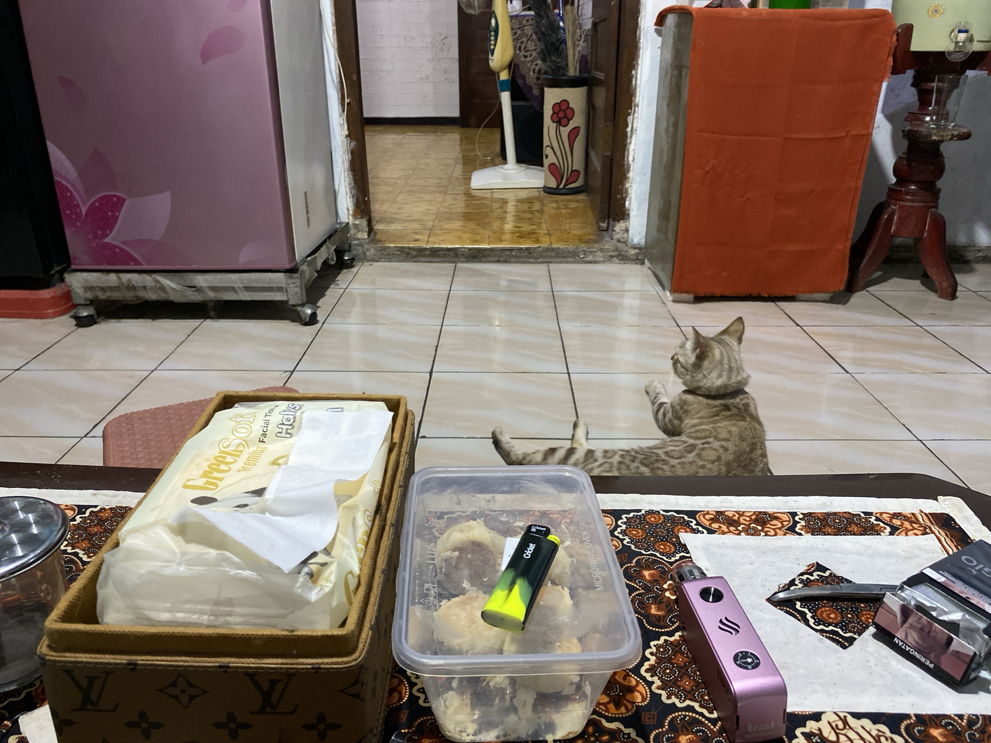 The image captures an indoor scene, possibly a living room or kitchen in Wonosari, Indonesia, characterized by tiled flooring and a doorway leading to another room. In the foreground, a brown woven box with a Louis Vuitton-inspired pattern holds a pack of "GreenSoft" facial tissues. Next to it is a clear plastic container filled with what appear to be small, round food items, and a green and yellow lighter is placed on top. To the right of the container, a pink electronic cigarette device and a pack of cigarettes labeled "Gio" are visible on a patterned cloth. In the mid-ground, a light brown tabby cat is lying on the tiled floor, looking away from the camera. Behind the cat, an orange cloth is draped over a piece of furniture. The background reveals an open doorway with a white-tiled wall and a standing fan, along with a decorative vase featuring a flower motif. A large pink refrigerator with floral designs stands to the left of the doorway. The overall lighting suggests an indoor environment, possibly during the day.