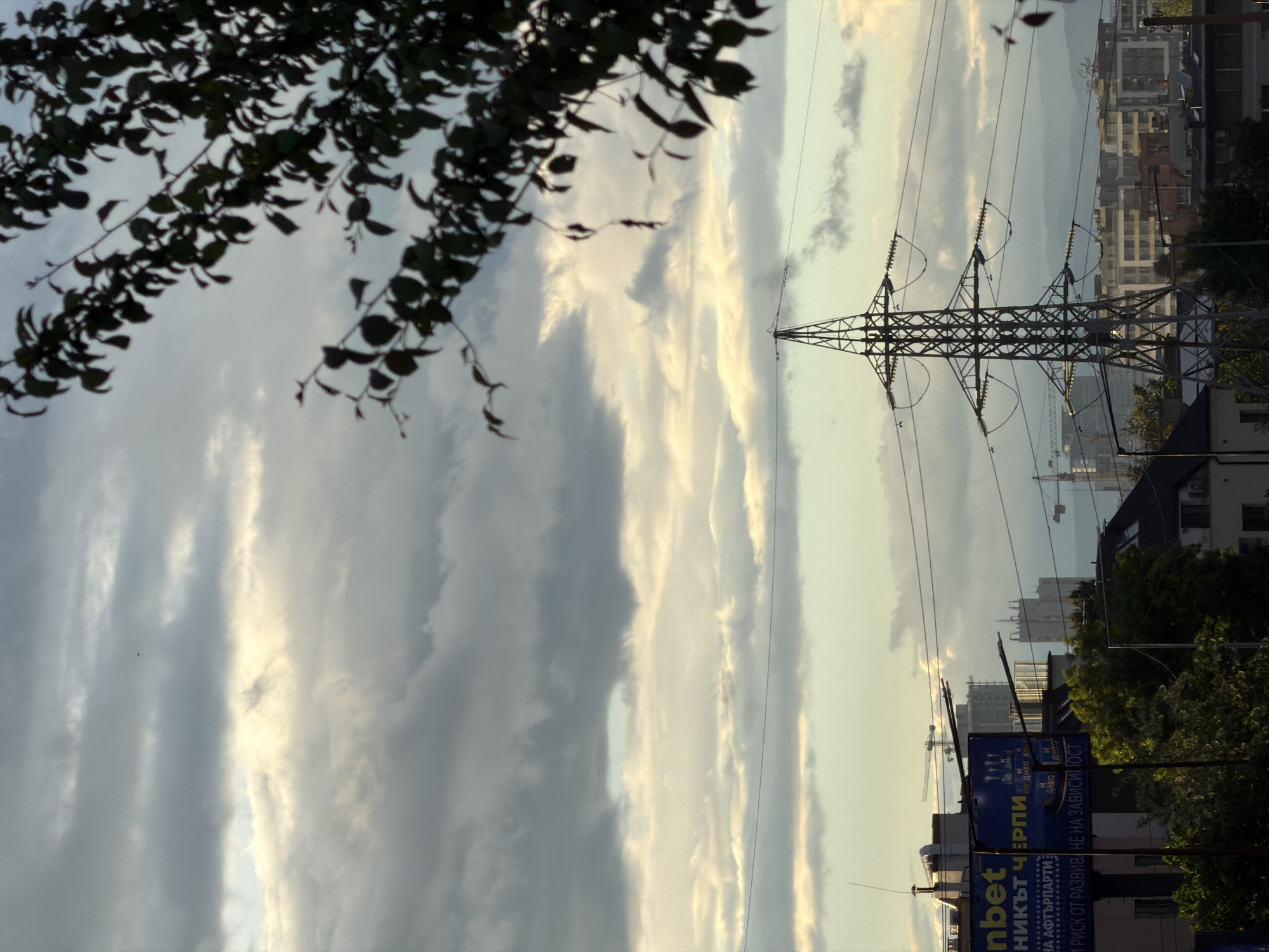 The image shows a utility pole with power lines against a cloudy sky, with tree branches in the foreground, taken during the day, from Sofia, Bulgaria. Buildings and construction cranes are visible in the background. A billboard is in the right lower corner. The image appears to be taken on its side.