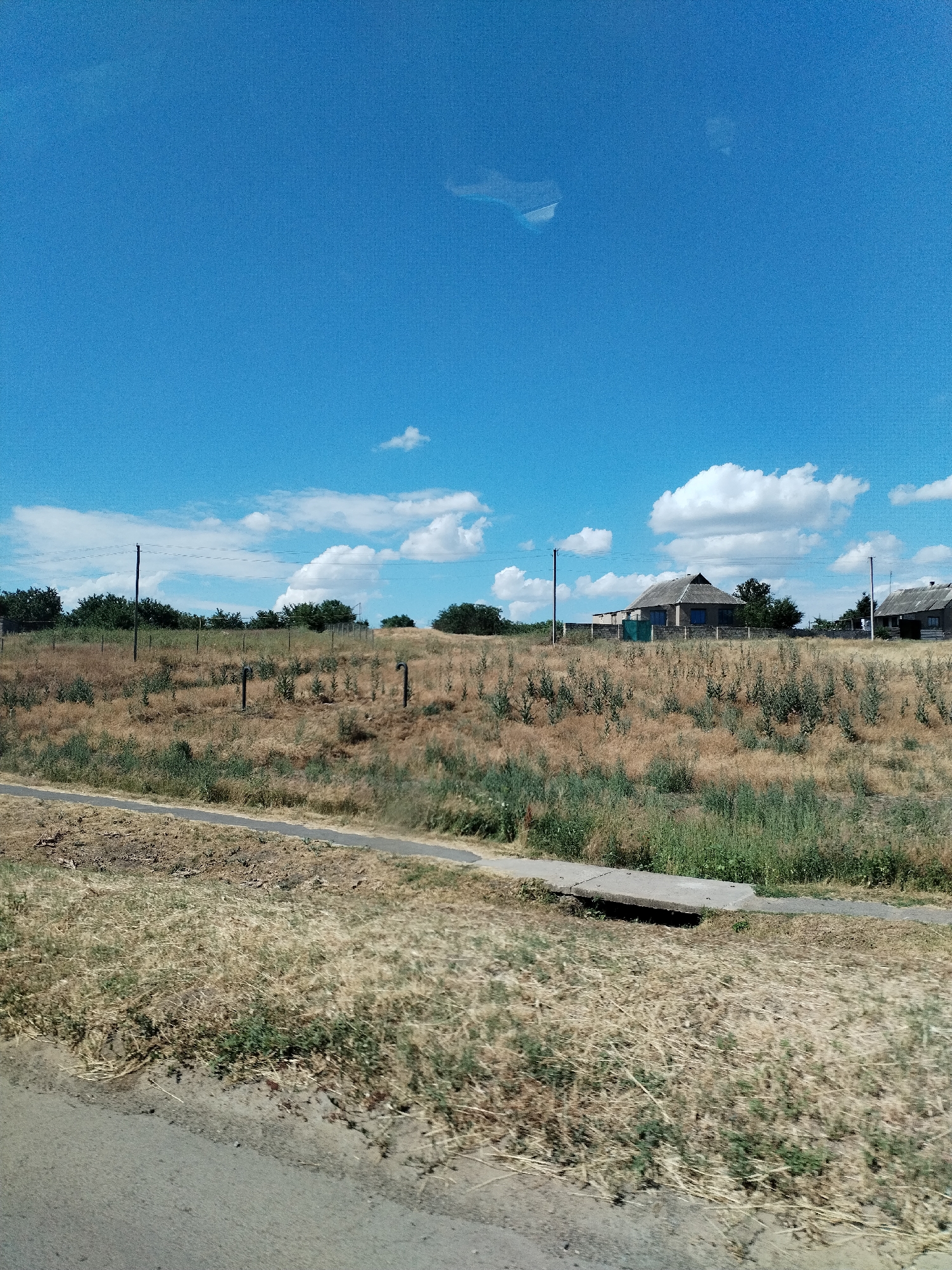 This image depicts a rural landscape on a clear, sunny day. The scene is dominated by a vast, bright blue sky with scattered white cumulus clouds. In the middle ground, a dry, grassy field stretches across rolling hills. Several trees form a dark green line along the horizon, punctuated by utility poles and some fencing.
Several houses are visible on the hilltops, their roofs a muted gray. One house in particular stands out with its distinctive angular roofline and blue-trimmed windows. A small, partially obscured structure, possibly a shed or another small building, is visible to the right of the main house. A dirt path or road runs along the bottom of the frame, with a section of what appears to be a drainage culvert crossing it. The vegetation in the foreground and middle ground is predominantly dry, golden grass, suggesting a warm or dry season. The overall impression is one of a peaceful, sun-drenched rural setting in Ukraine, likely during the daytime. No people are visible in the frame, and there is no visible text.