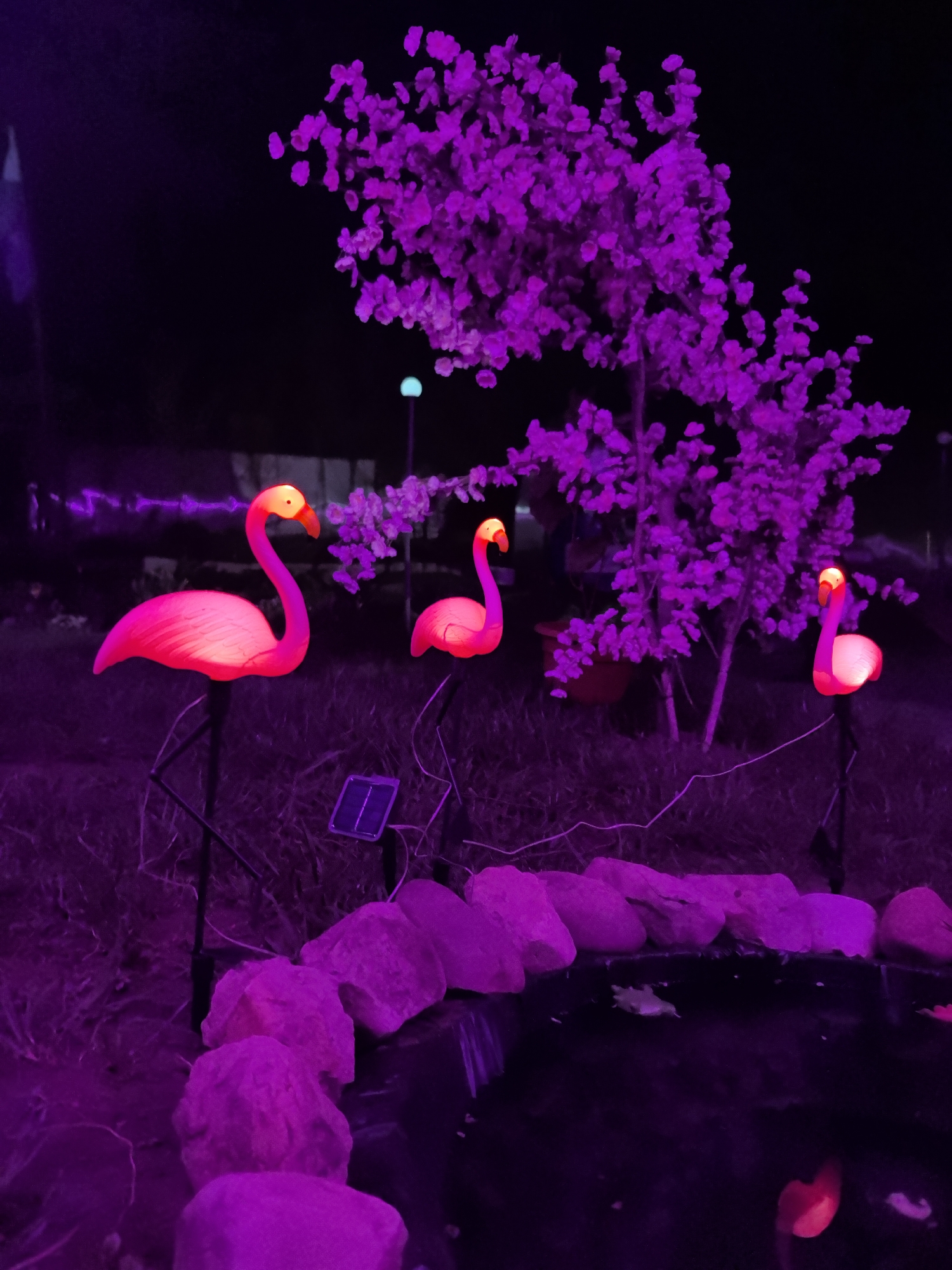 The image shows three flamingo-shaped, solar-powered garden lights standing near a small pond in a nighttime setting. The scene is illuminated with a strong pink or purple hue, possibly from colored lighting or photographic filters. The pond is edged with a border of light-colored stones. Behind the flamingos is a small tree with many branches and leaves, also bathed in the pink/purple light. In the background, there is darkness and indistinct shapes, possibly other plants or structures. The lighting obscures details and distorts colors. It is not possible to determine if the image was taken in Noviy, Russia, or to provide any additional information based on the provided data.