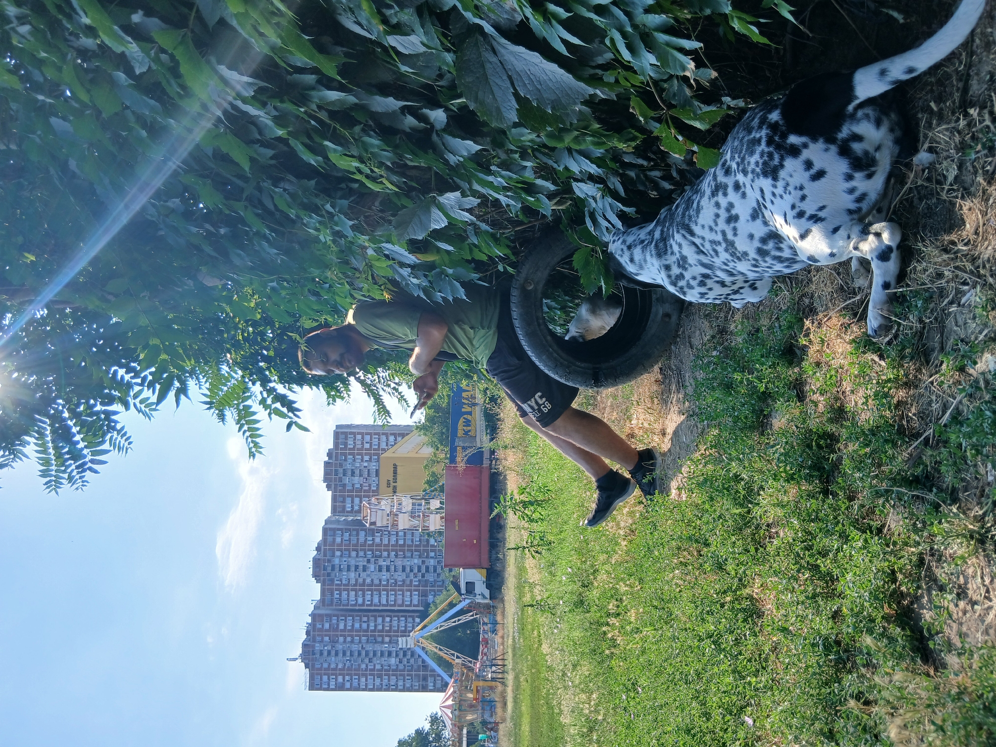 A man is sitting on a tire next to a wall covered in ivy, looking at his phone. A Dalmatian dog is lying down in front of him. In the background, there are tall apartment buildings, a Ferris wheel, and a carousel. The scene appears to be in a park or an open field on a sunny day.