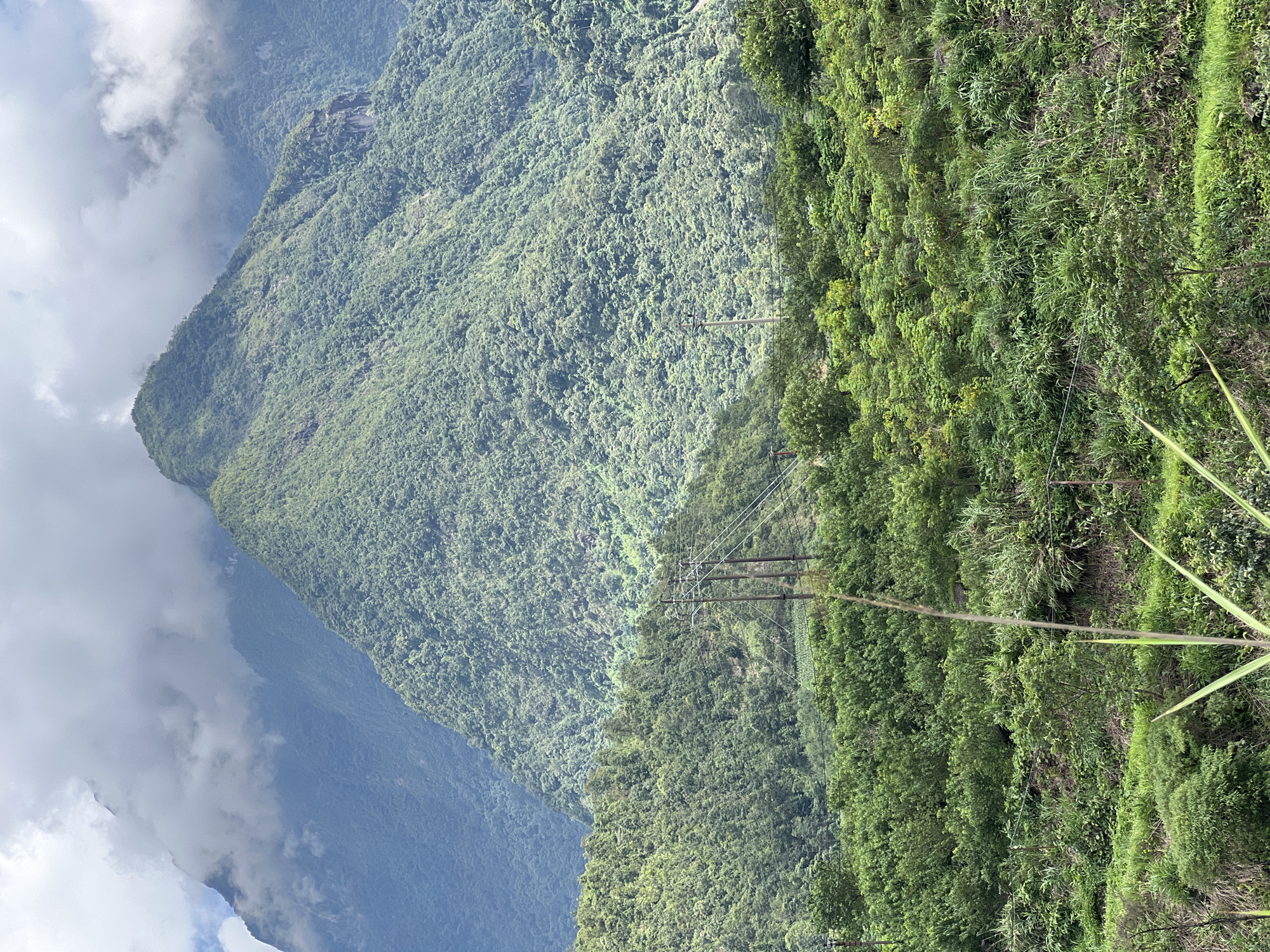 This image shows a lush, green mountainside in Bình Lư, Vietnam, with a dominant, mist-shrouded peak in the background. The foreground is filled with dense vegetation, including trees, bushes, and tall grasses. Power lines and poles are visible crossing the mid-ground, suggesting human presence and infrastructure in the otherwise natural landscape. The sky is partly cloudy, with heavy white clouds obscuring the upper portions of the mountains. The overall impression is one of a remote, natural environment with hints of human activity.
