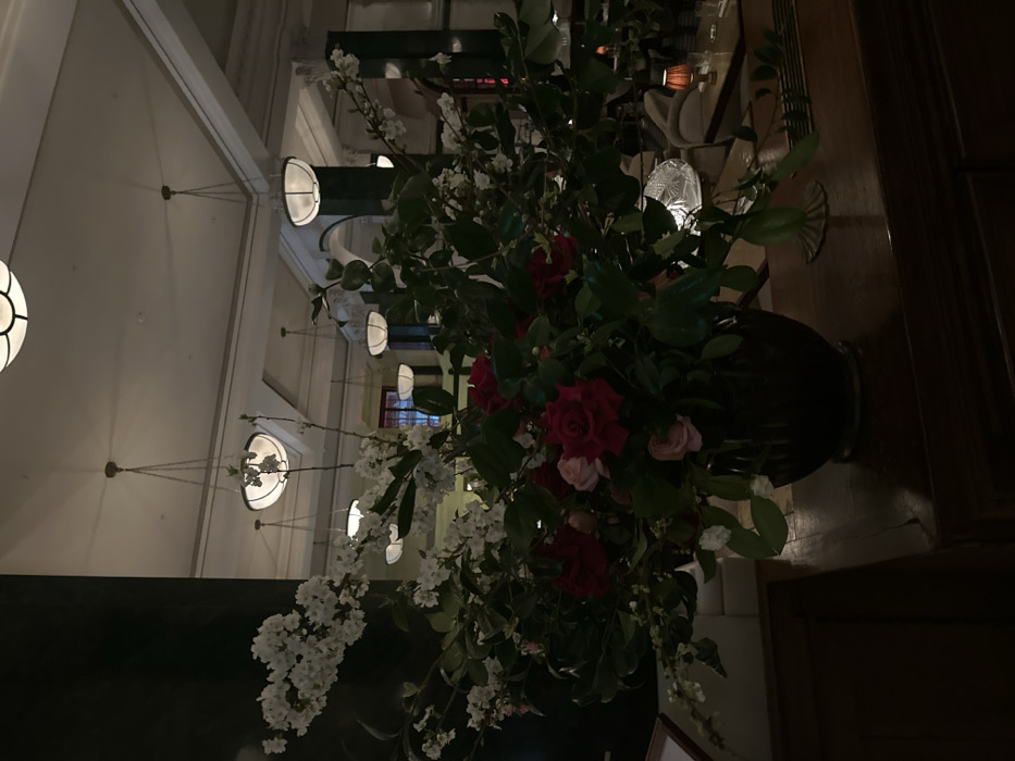 This image depicts the interior of The Wolseley restaurant, located at 160 Piccadilly, London, United Kingdom. The foreground features a large, dark, urn-shaped vase positioned on a polished dark wooden counter. The vase contains a substantial floral arrangement composed of dark red roses, lighter pink roses, and numerous branches adorned with white blossoms and abundant green foliage.
The midground and background reveal a grand, dimly lit interior space with a high, white ceiling featuring ornate molding. Multiple bowl-shaped pendant light fixtures with frosted white shades and dark metal chains hang at varying heights from the ceiling. Dark, possibly black or deep green, architectural columns are visible, contrasting with the lighter ceiling and walls. Through the foliage and between the architectural elements, upholstered seating, small tables, and a table lamp with a warm-toned shade are discernible, indicating a refined dining or lounge area. No individuals are present or clearly visible within the scene. The overall lighting is soft and ambient, contributing to an elegant atmosphere.