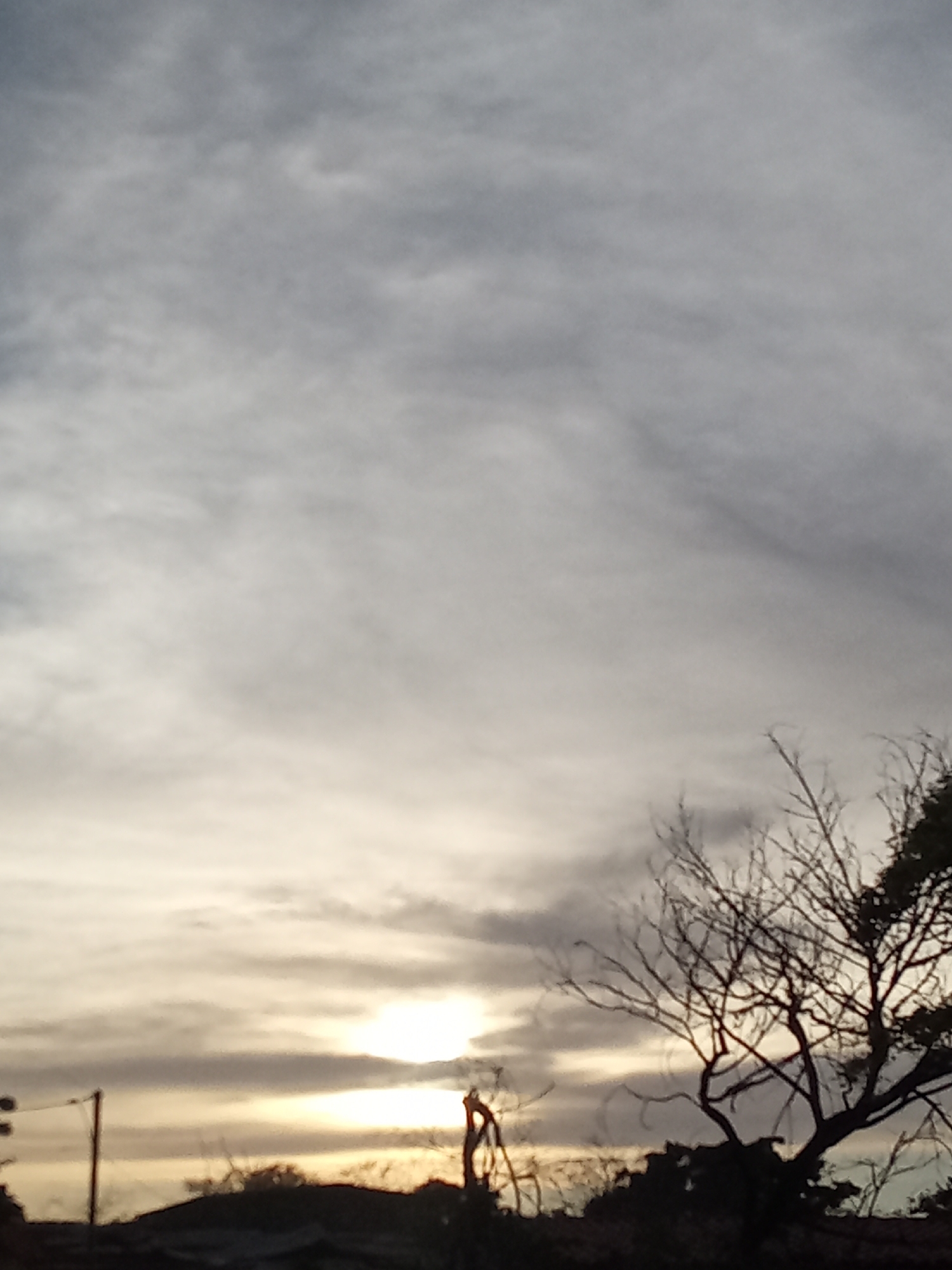 The image shows a cloudy sky at dusk or dawn, with the sun obscured by clouds near the horizon. Silhouetted trees and rooftops are visible in the foreground. A utility pole is also silhouetted against the sky. The location is specified to be Juan Griego, Venezuela, though there are no explicit indicators of the city in the image.