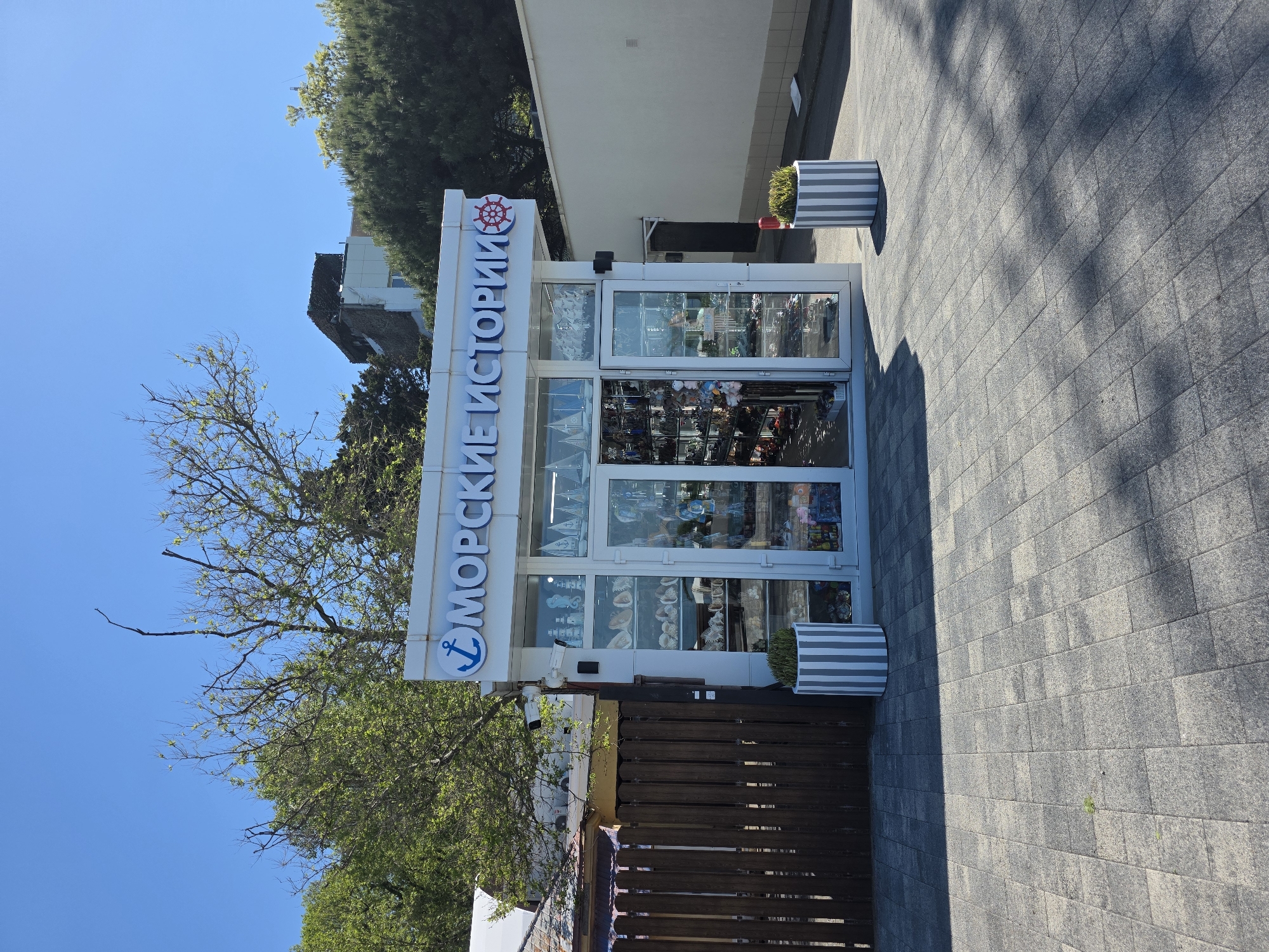 This image depicts a brightly lit outdoor scene in the city of Sochi, Russia, featuring a small retail kiosk on a sunny day.
The central subject is a freestanding, single-story kiosk constructed primarily of white panels and extensive glass. Its front facade consists of large display windows flanking a central glass door. Above the entrance, a sign displays blue text "МОРСКИЕ ИСТОРИИ" (translating to "SEA STORIES") framed by a blue anchor icon on the left and a red ship's wheel icon on the right. Inside the glass displays, various marine-themed souvenirs are visible, including multiple seashells, model lighthouses, seahorses, and sailboats on the left side, and smaller trinkets and toys on the right side. A white security camera is mounted on the upper left corner of the kiosk, and a smaller black sensor or device is positioned below it.
The ground immediately in front of the kiosk is paved with rectangular concrete pavers in shades of light and dark grey, arranged in a grid pattern. A pronounced shadow from the left side extends across approximately one-third of the paved area, indicating direct sunlight from the right. Two identical cylindrical planters, striped vertically in grey and white, stand on either side of the kiosk entrance, each containing a small green plant.
To the left of the kiosk, a dark brown wooden fence, composed of vertical planks, extends horizontally across the frame. Behind this fence, portions of a light-colored building with a sloped roof are visible, along with dense green foliage from trees and bushes.
To the right of the kiosk, a paved path or narrow asphalt road recedes into the background. A plain, light-colored wall forms the backdrop on this side, with a darkened recess or entrance visible further along the path.
The upper background features numerous trees with varying densities of green foliage, suggesting either late spring or early summer. Some deciduous trees on the left exhibit bare branches with newly sprouted leaves. Portions of other buildings are discernible through and above the trees in the distant background. The sky is clear, uniformly bright blue, and devoid of clouds. No individuals or vehicles are present in the scene.