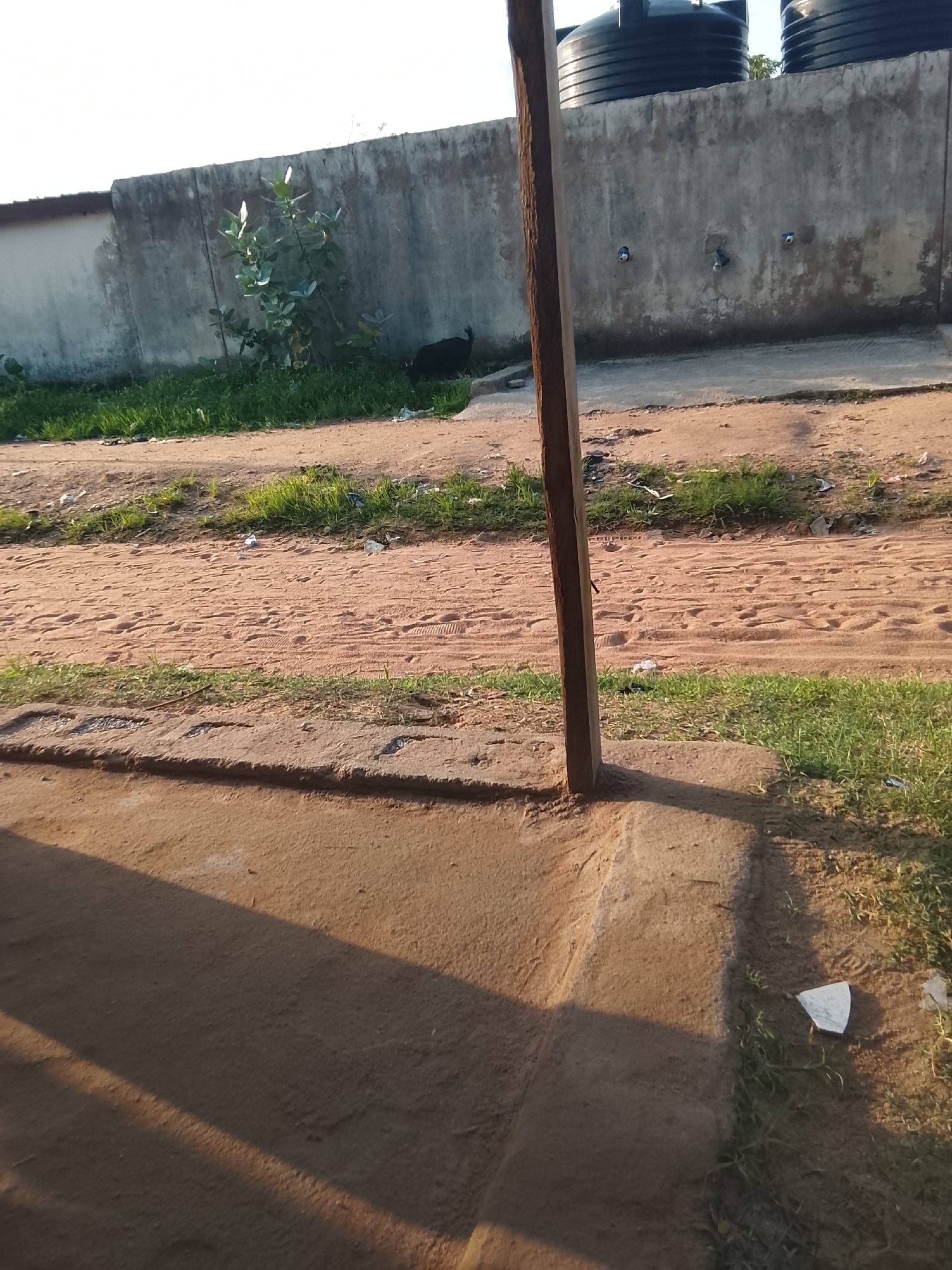 The image depicts an outdoor scene in Jalingo, Nigeria, bathed in the warm light of what appears to be late afternoon or early morning. The foreground is dominated by a dirt path marked with numerous footprints, suggesting recent activity. To the left, a concrete curb runs along the edge of a pathway, casting a long shadow from an unseen object, likely a pole, which is prominently featured in the center of the frame. This wooden pole, vertical and weathered, divides the scene.
Behind the path, a strip of green grass separates it from a textured, grey concrete wall that extends horizontally across the mid-ground. On this wall, two large black water tanks are visible at the top, indicating a likely residential or communal area with water storage facilities. There are also what appear to be faucet fixtures on the wall. A small, leafy green plant grows near the base of the wall, adding a touch of nature to the otherwise stark environment. A black animal, possibly a dog or a goat, is visible near the plant and the wall. The overall setting is rural or semi-urban, characterized by dusty paths, concrete structures, and vegetation. The lighting suggests a calm day, with no immediate indication of specific weather conditions beyond the clear sky. No visible text is present in the image.