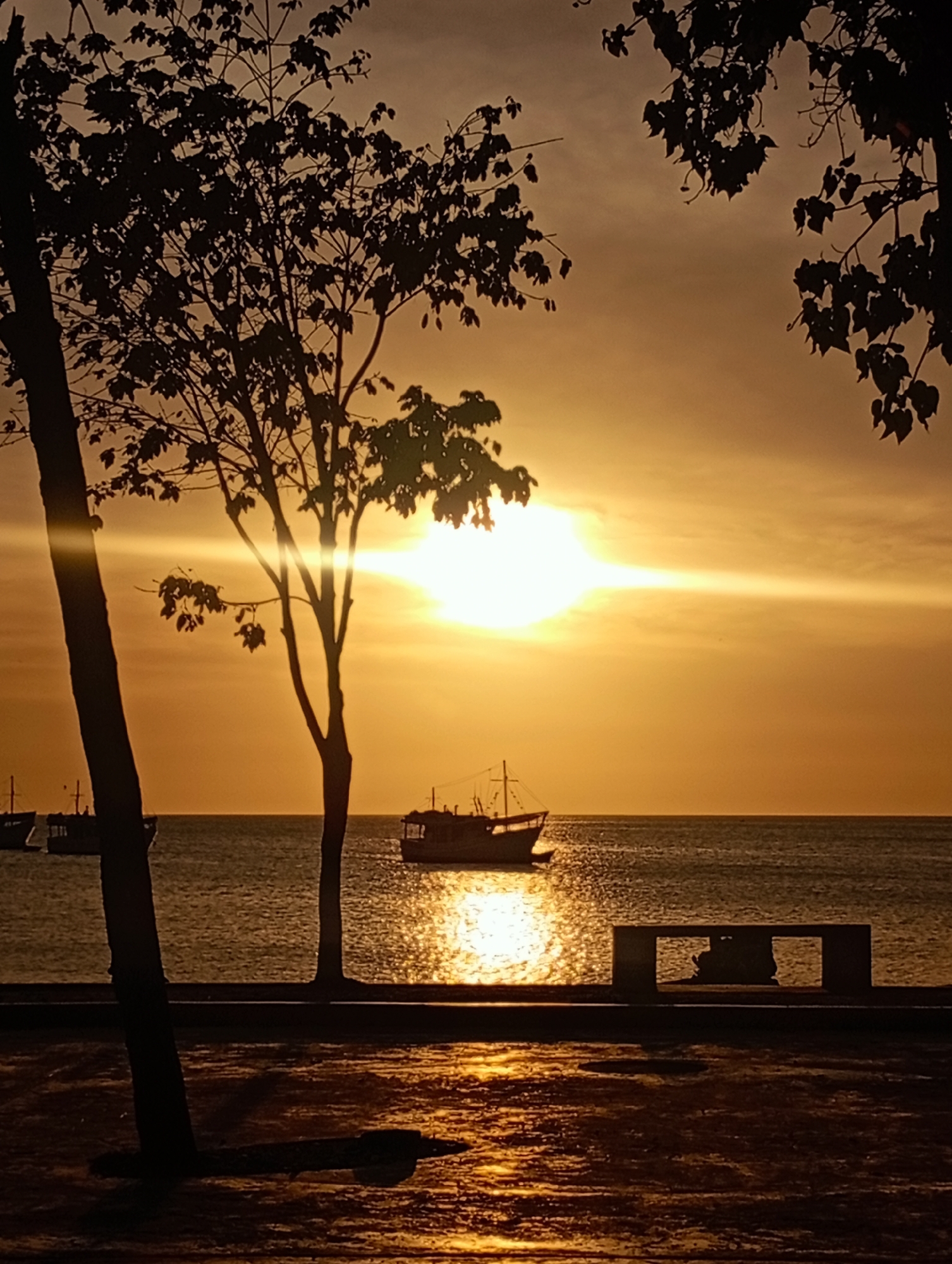 The image depicts a sunset scene in Juan Griego, Venezuela. The sun is setting over the water, casting a golden light across the sky and sea. Several boats are visible in the distance. Silhouetted trees frame the image on both sides. A small park with a bench is visible in the foreground.