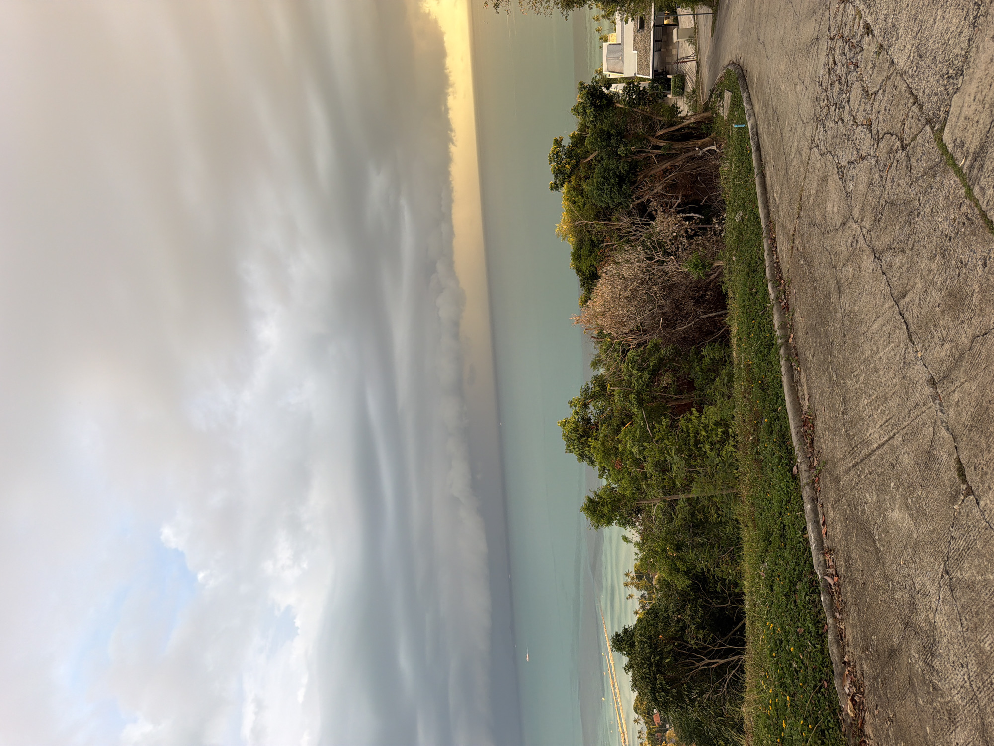 The image is a vertical, eye-level shot of a cloudy sky over a body of water, with a foreground of a paved road and vegetation. The sky is filled with heavy, dark gray clouds that are beginning to break apart on the right side of the frame, revealing a patch of pale yellow light. Below the clouds, a wide expanse of calm, turquoise water stretches towards the horizon. In the distance, a pier juts out from a coastline dotted with palm trees and buildings, suggesting a populated area. Closer to the foreground, a dense line of green trees and shrubs separates the water from the paved road. The road itself is cracked and weathered, curving uphill and to the right. A few scattered leaves lie on the side of the road. The overall impression is a serene, yet dramatic, landscape with a hint of an approaching storm. The scene is likely located in Baan Thong Po, Thailand, given the tropical vegetation and coastal environment. No people are visible in the image.