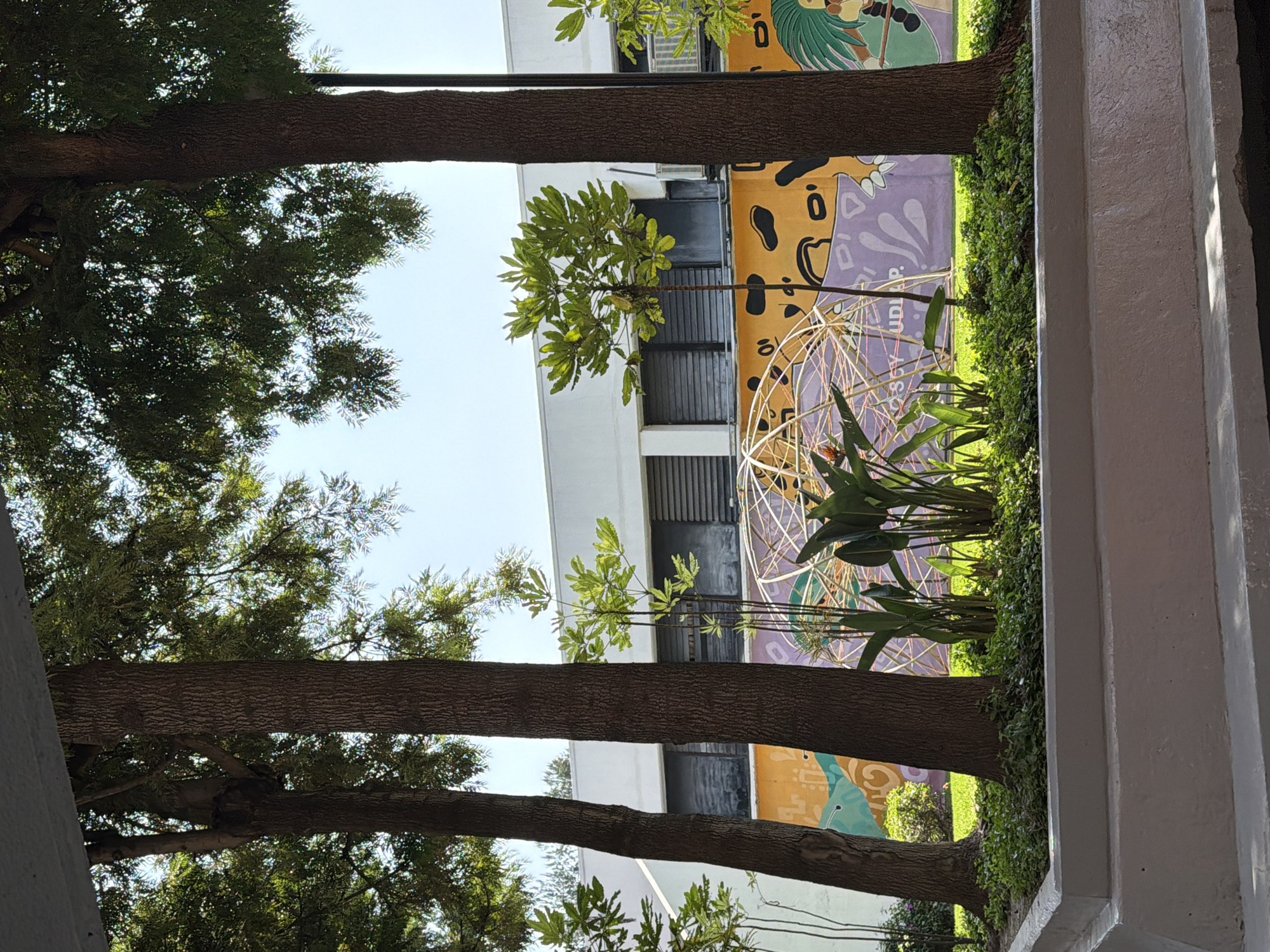 The image captures an outdoor scene in San Andrés Cholula, Mexico, framed by tree trunks and concrete architecture.
The primary subjects are the trees, positioned in the foreground, forming a vertical border that guides the viewer's eye towards the background. The trunks are thick and textured, with branches and foliage extending upwards and outwards.
Between the trees, a building is visible. It features a modern design with white walls, gray metal accents, and a mural painted on its exterior. The mural has a combination of yellow and purple and it depicts faces, with patterns and shapes.
A golden spherical structure is situated in front of the mural. A patch of green vegetation is also situated in the foreground.
The overall setting suggests an urban environment with a blend of natural and man-made elements. The composition creates a sense of depth and perspective, drawing the viewer into the scene.