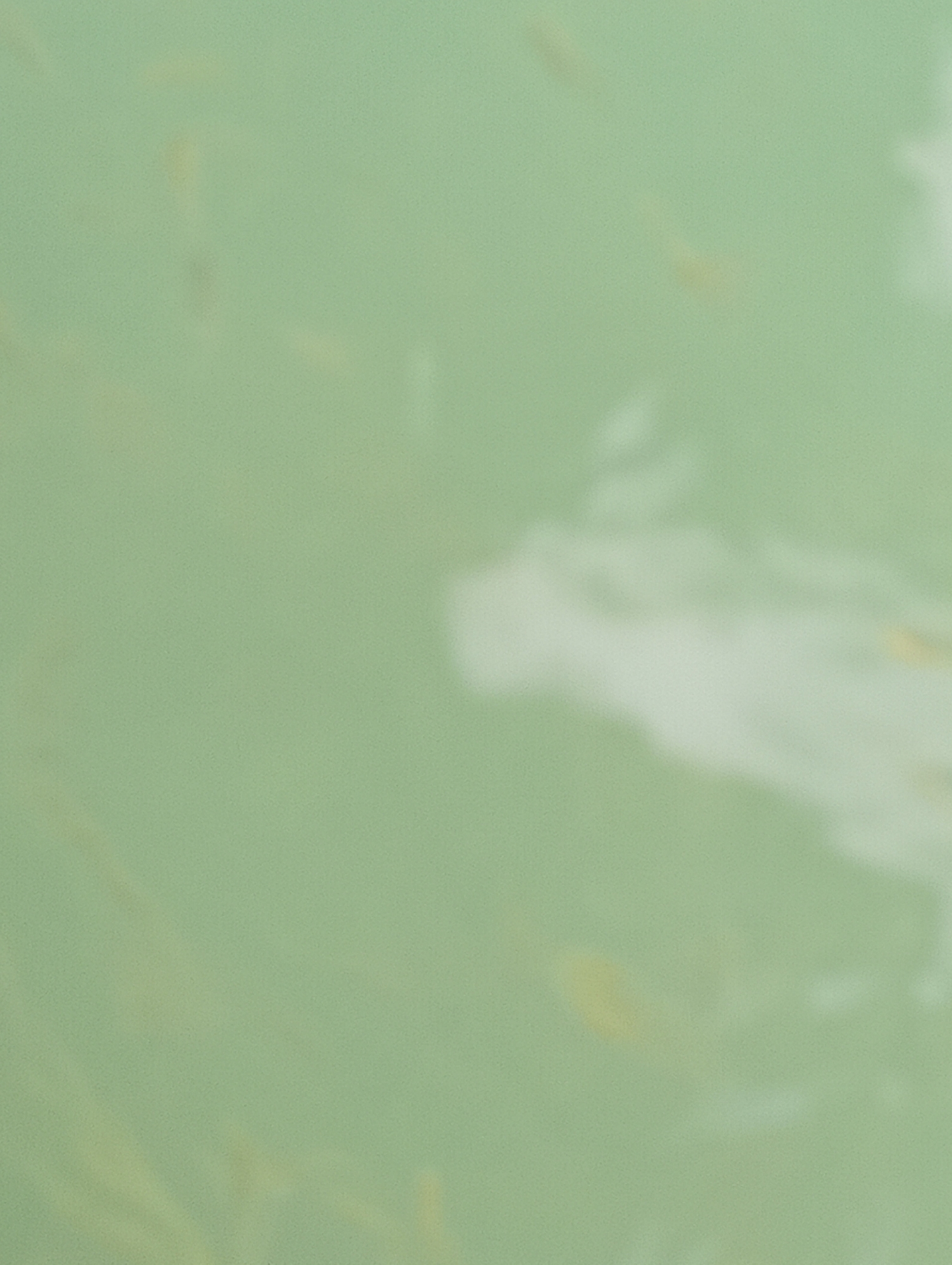 The image is an abstract, out-of-focus photograph of shallow, pale green water with scattered yellow and white organic shapes. The water appears still and reflective, with a grainy texture throughout. There are no discernible landmarks, people, or specific objects that would indicate a location in Fethiye, Turkey or any other specific place. The scene is generic and lacks detail.