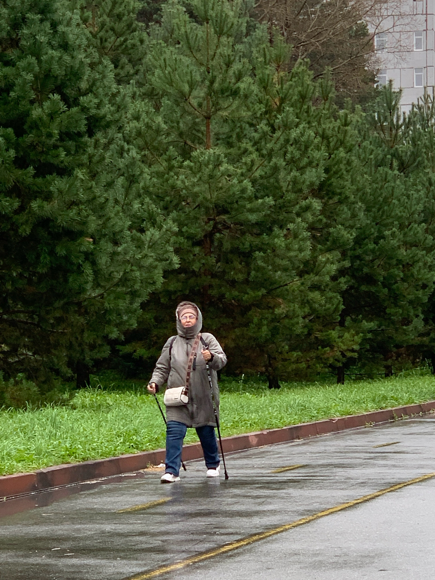 A woman is captured mid-stride, engaged in Nordic walking on a wet asphalt path. She is dressed in a gray hooded jacket, blue jeans, and white athletic shoes. A light-colored crossbody bag is slung over her right shoulder. Her poles are positioned for forward motion. The path is bordered by a curb and lush green grass, with a dense forest of pine trees forming the backdrop. In the distance, the upper floors of a modern building with white-framed windows are visible above the trees, suggesting an urban or suburban setting. The sky is overcast, contributing to the wet appearance of the ground. Based on the architectural style of the building and the presence of mature pine trees in a park-like setting, this scene is consistent with locations found in cities like Prokopyevsk, Russia, particularly in residential areas or parks bordering forested zones.