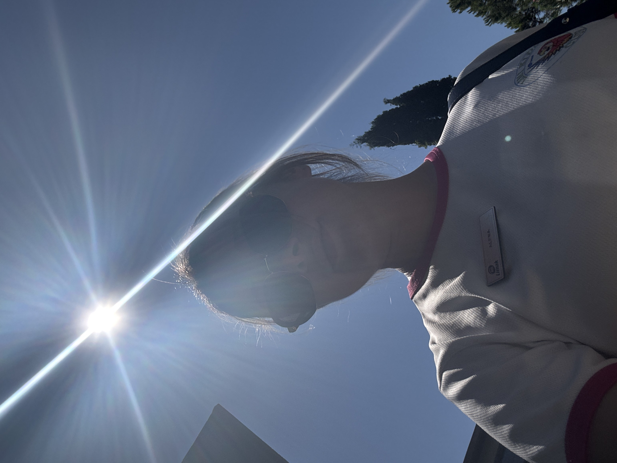 This is a low-angle, medium shot selfie taken outdoors on a bright, sunny day. The sun is prominently featured in the upper left quadrant of the image, creating significant lens flare that radiates across the frame and obscures details in the upper portion of the image. The subject, a person wearing sunglasses and a white shirt with pink trim, is positioned in the lower half of the frame, facing the camera. The shirt has a name tag attached to the left chest area, which reads "Limak ALENA". A portion of a dark bag strap is visible over the subject's right shoulder. The background consists of a clear blue sky, with the tops of two cypress trees visible on the right side, suggesting an outdoor setting possibly in a park or garden area. There is a building structure visible on the far left of the image. The sun's intense glare and the angle of the shot create a silhouette effect for the subject's face and hair, making facial features indistinct.
