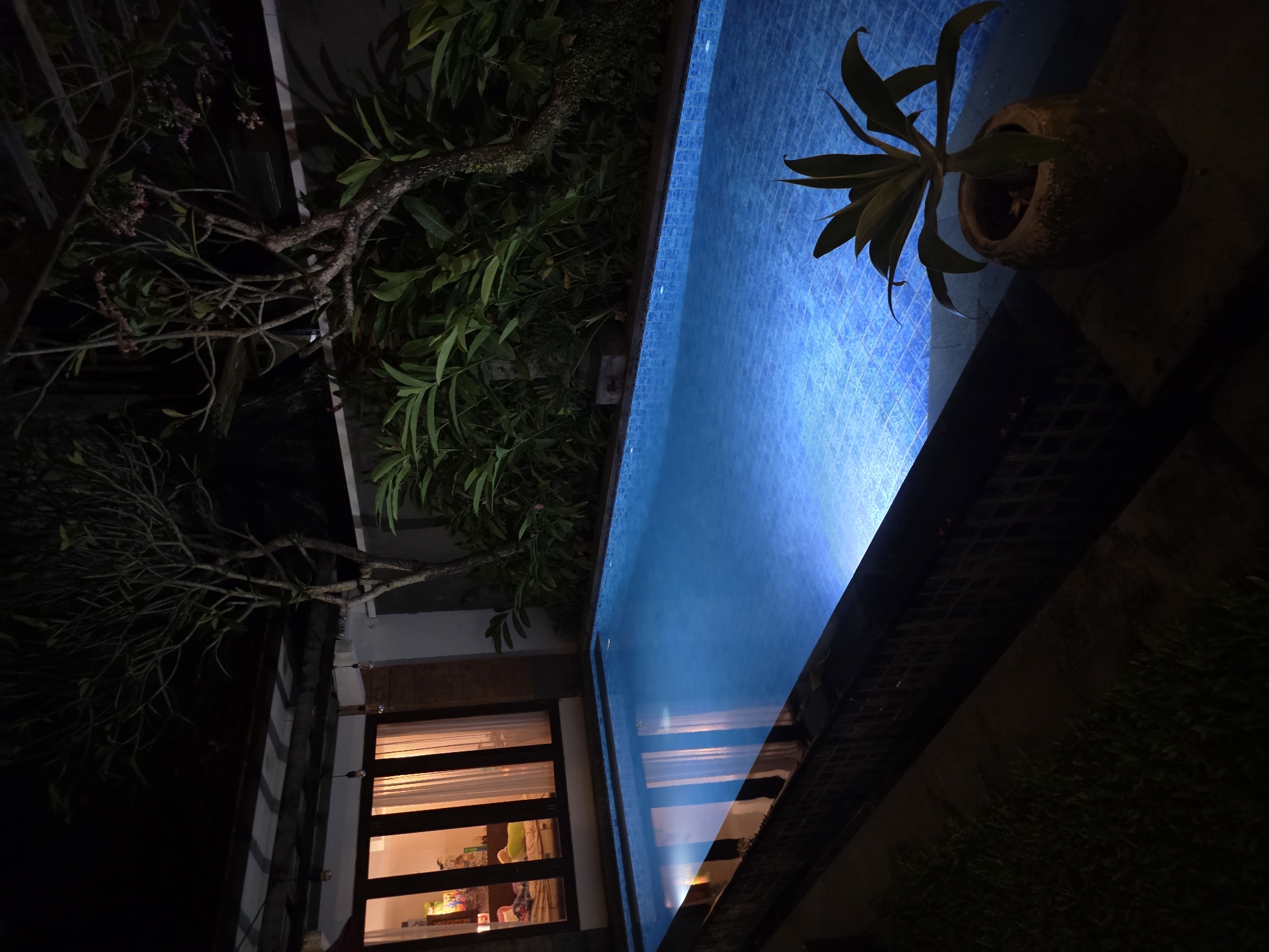 A nighttime shot showcases a residential outdoor scene. A swimming pool, illuminated with a blue glow, is the central focus, reflecting light. Adjacent to the pool, a potted plant sits on a ledge. Foliage and trees are visible along the perimeter of the pool and house. A window reveals a glimpse of a room, with curtains and illuminated objects, suggesting domestic activity. The location appears to be residential.