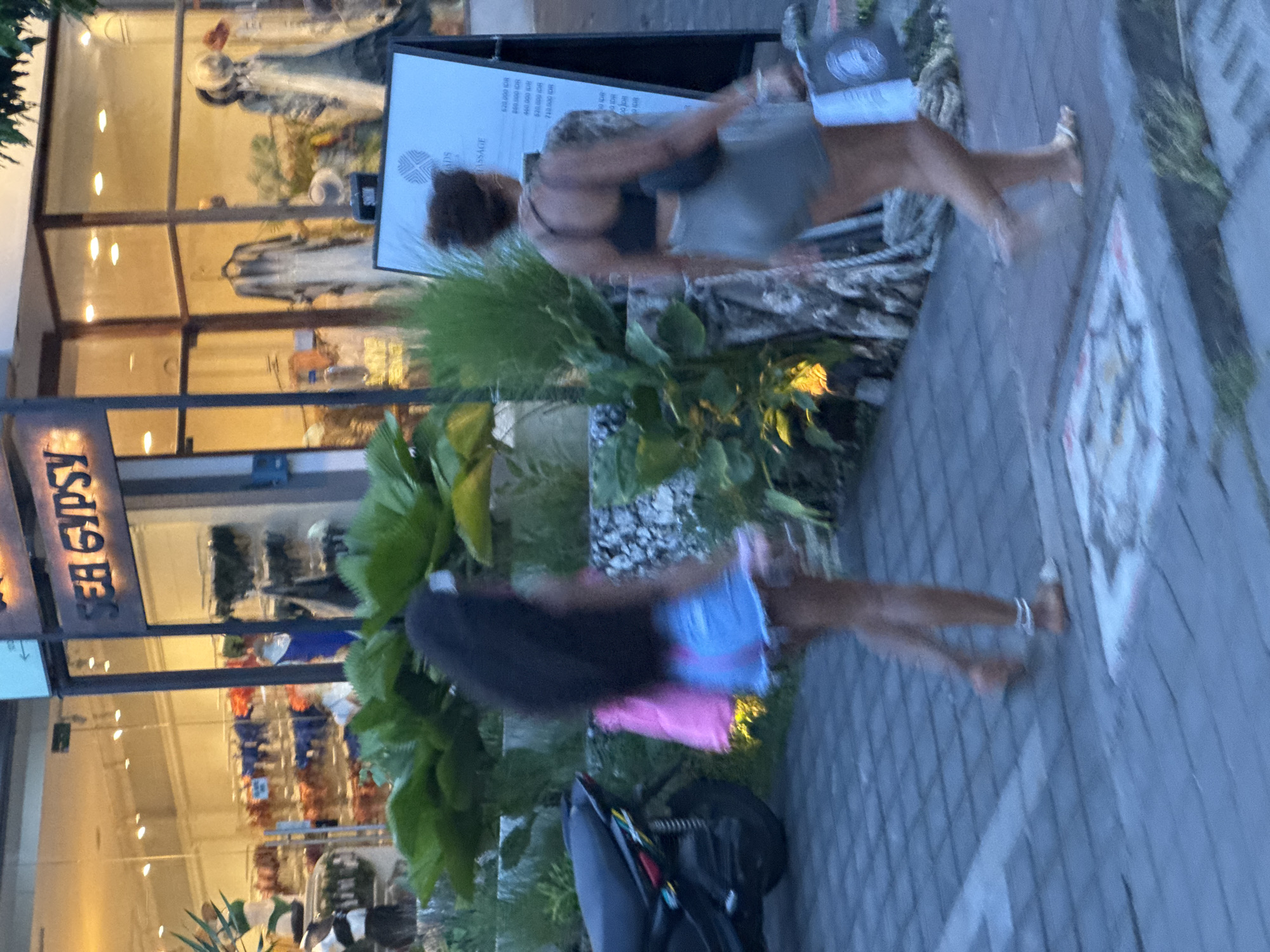 This image, rotated counter-clockwise, depicts an outdoor scene on a paved sidewalk next to storefronts, likely in Kuta Selatan, Indonesia, as suggested by the currency (IDR) in the visible text. The lighting indicates late afternoon or early evening, with interior shop lights on.
Two women are the primary subjects, their figures blurred due to motion as they appear to be walking. The woman in the foreground has long dark hair and wears a top with light colors (possibly pink and blue) and shorts. Behind her, another woman with curly dark hair is dressed in a black top and light-colored shorts.
To the left, a shop entrance features large glass windows, through which mannequins and various items are visible. A partial sign above the shop reads "SEA GYPSY". Green foliage and potted plants are strategically placed along the sidewalk between the pedestrians and the shops.
On the right side, a freestanding sign displays information. Visible text from the OCR includes "ADS", "MASSAGE", and a price list in Indonesian Rupiah (IDR), such as "620,000 IDR", "860,000 IDR", "460,000 IDR", "820,000 IDR", and "710,000 IDR", indicating services are offered. A dark backpack or bag rests on the ground between the two women. The setting suggests a commercial or retail area.