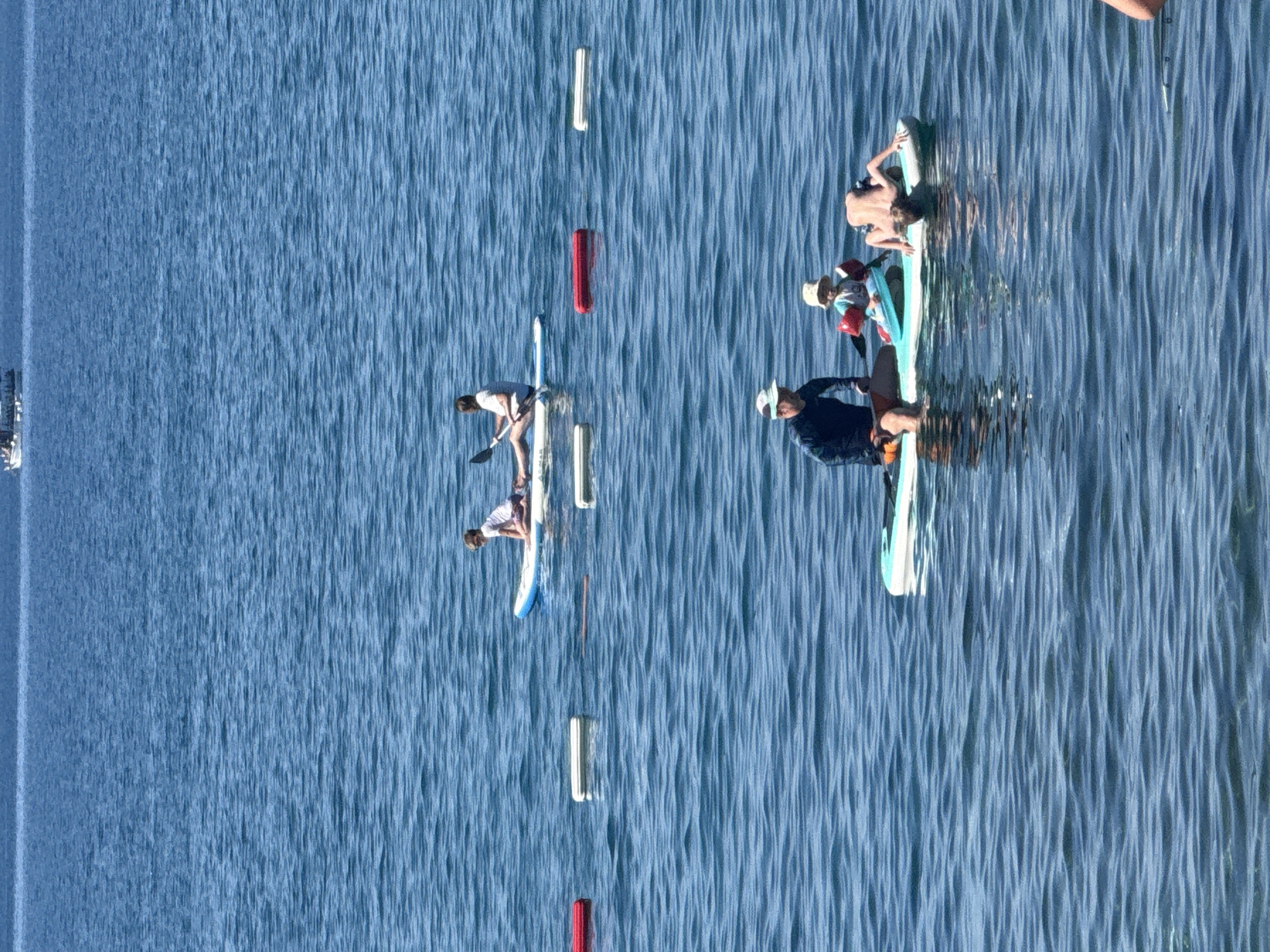 The media file depicts an outdoor scene on a body of water, likely a lake or the sea, given the rippling blue surface and the presence of multiple paddleboards. The image is oriented vertically, suggesting it was taken from a high vantage point or that the camera was rotated.
Several individuals are visible, engaged in paddleboarding. One person is kneeling on a paddleboard, using a paddle to propel themselves. Another is lying on their stomach on a paddleboard. A third person is seated on a paddleboard, also with a paddle. Two other individuals are partially visible on a paddleboard in the background. All individuals are dressed in casual attire, including shorts and tops. One person wears a hat.
The water is a consistent shade of blue with visible ripples, indicating it is calm but not perfectly still. The sky is not directly visible in the frame. Several buoys, some white and one red, are scattered across the water, potentially marking a course or a specific area. In the far left of the frame, a small boat or structure is visible in the distance, partially obscured by the water's surface.
The scene appears to be taking place during the daytime, with bright lighting suggesting sunshine. The overall mood seems relaxed and recreational. No specific emotions are clearly discernible. The location context of Rafailovići, Montenegro, suggests this might be a coastal or bay area. No visible text is present in the image.