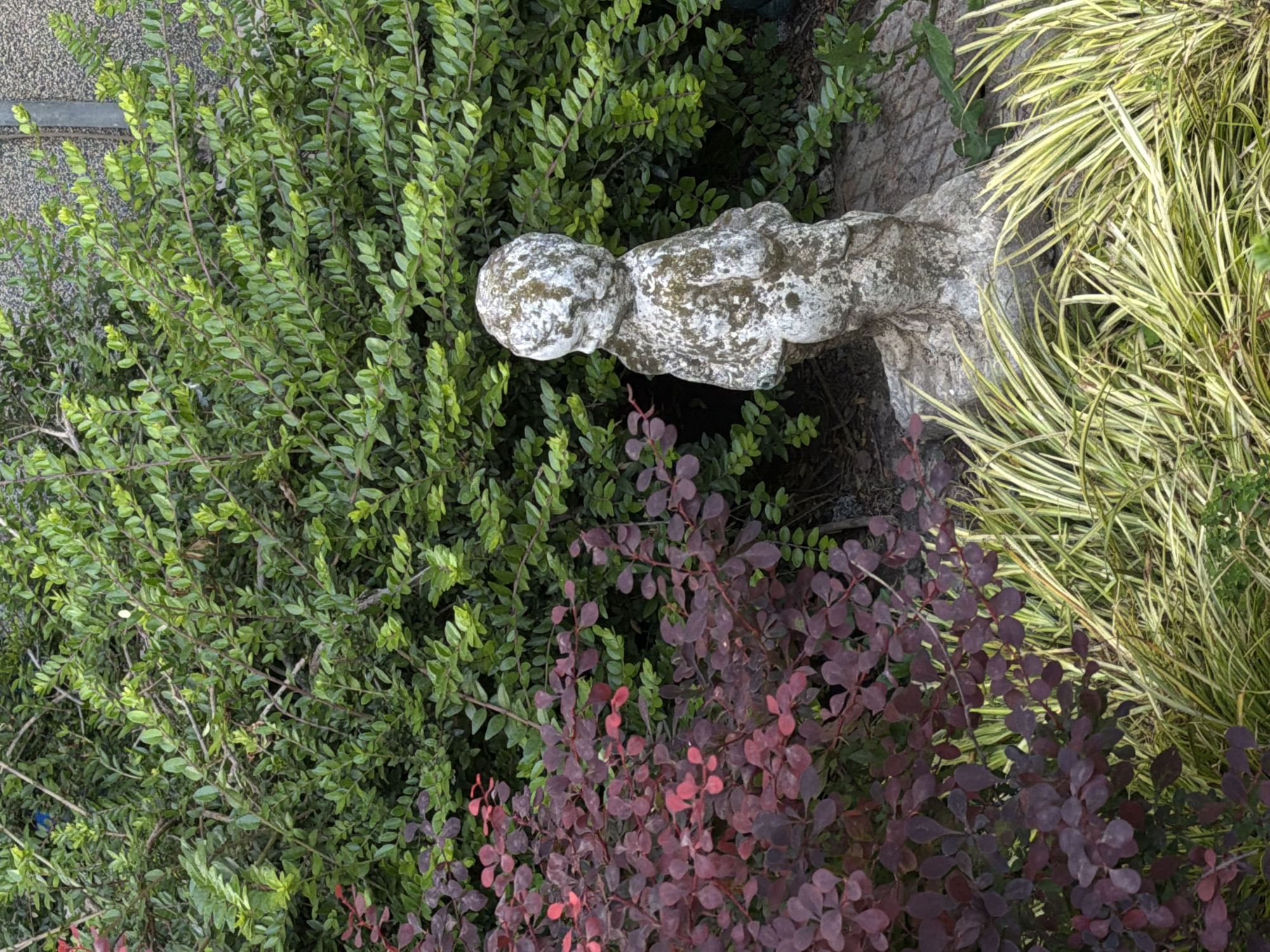 A stone statue of a child lies among plants of various colors. A building is visible in the background. The location is Belgrade, Serbia.