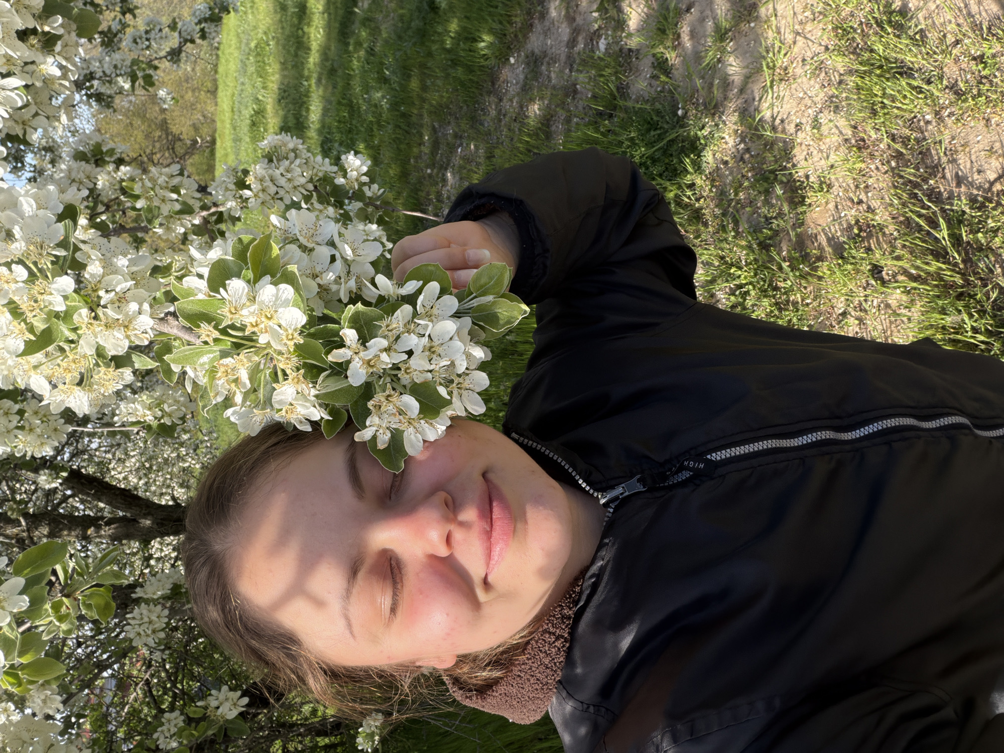 A serene outdoor portrait captures a young person relaxing beneath a flowering tree in Priseltsi, Bulgaria. The subject is seen from an overhead perspective, lying down with their eyes gently closed and a subtle, peaceful smile on their face. Their right hand delicately holds a cluster of white blossoms and green leaves near their head, integrating the flowers into the composition.
The scene is bathed in bright, natural sunlight, indicating a clear day, likely in spring given the profusion of white flowers. The background features vibrant green grass and additional leafy trees or shrubs, suggesting a park or natural garden setting. The person is wearing a black jacket with a silver zipper that runs up the front; the word "HIGH" is visible on the zipper pull. A glimpse of a brown or beige collar is seen beneath the black jacket. The image conveys a sense of calm, tranquility, and an appreciation for the beauty of nature.