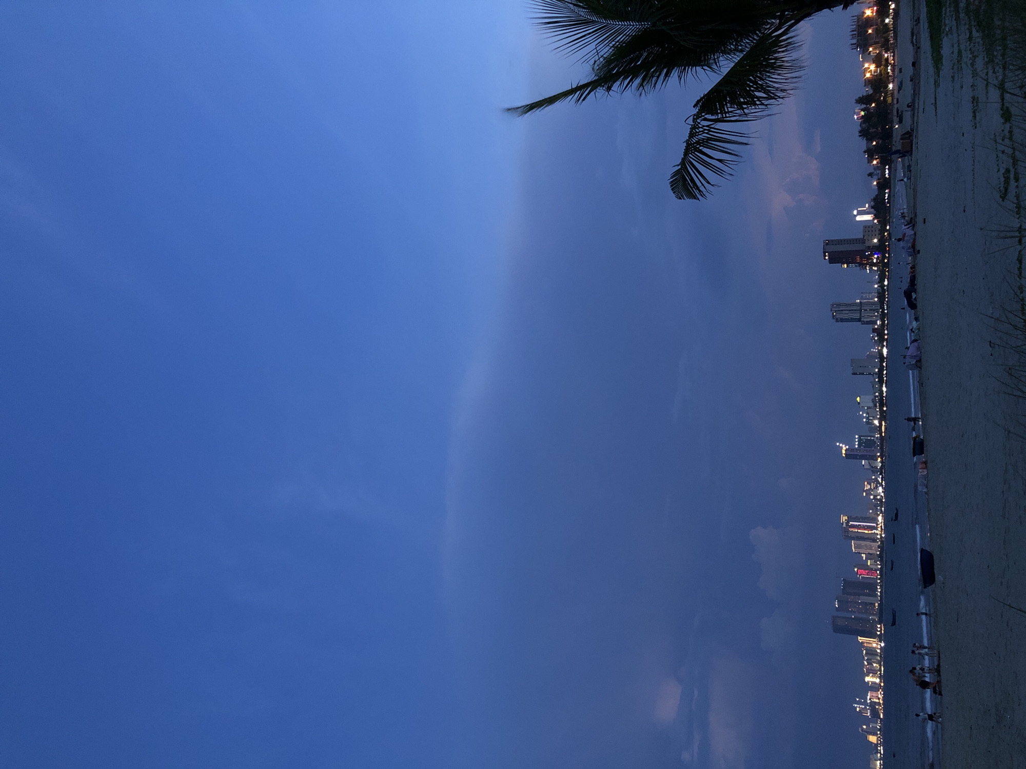 This image depicts a twilight scene at a beach in Da Nang, Vietnam. The sky is a deep, clear blue, transitioning into darker hues as night approaches. A palm frond is visible in the upper left corner, suggesting a tropical environment. The beach itself is a strip of sand, and the ocean is a dark, calm body of water.
Along the coastline, a string of high-rise buildings is illuminated with various lights, creating a vibrant city skyline that contrasts with the natural setting. Some of these buildings display colorful lights, possibly red and white. Small groups of people are scattered along the beach and near the water's edge, engaged in leisurely activities. Their silhouettes are visible against the sand and water, but their specific actions are not clearly discernible. The overall mood is peaceful and serene, characteristic of a beach at dusk. The lighting indicates that it is either early evening or late twilight, with artificial lights beginning to dominate the scene. No visible text is present in the image.
