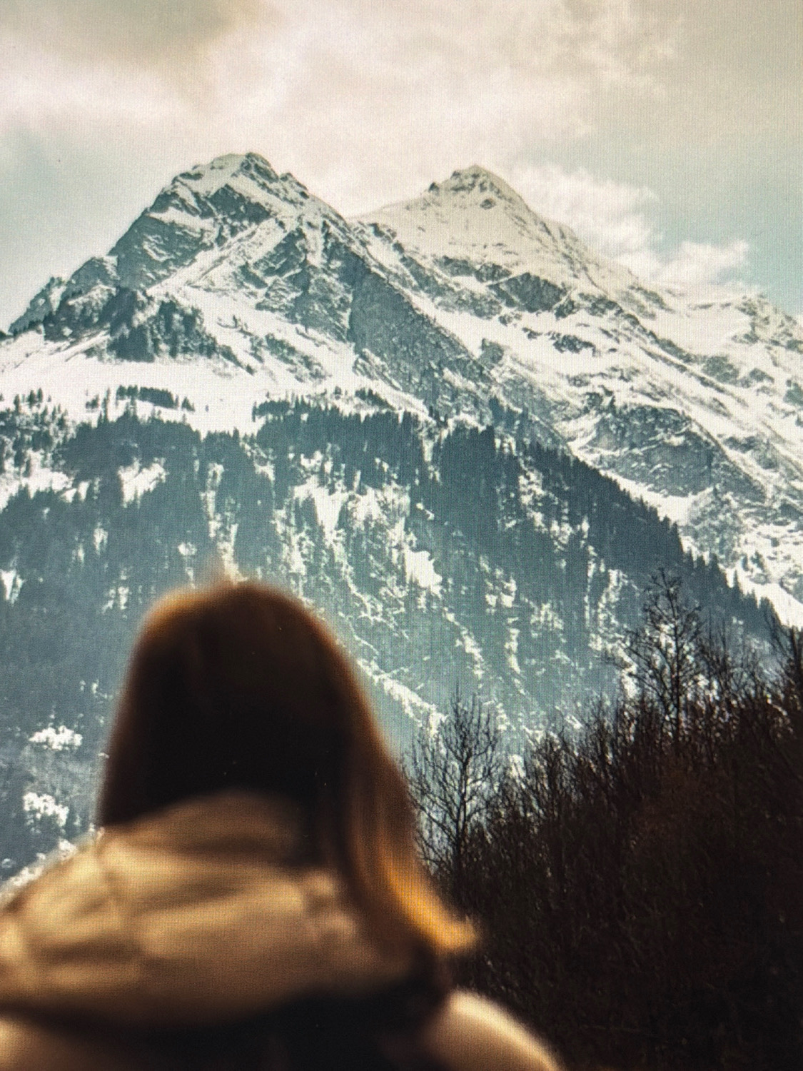 An outdoor, over-the-shoulder shot features a person from the back, facing a majestic, snow-capped mountain range. The person, with shoulder-length auburn hair and wearing a tan hooded jacket, is out of focus, drawing the viewer's attention to the scenery beyond. The mountains dominate the background, their peaks dusted with snow and their slopes partially covered in dark green coniferous trees. Bare branches of deciduous trees in the foreground create a textural contrast with the vast, rugged landscape. The sky above is overcast with scattered clouds. The scene evokes a sense of awe and tranquility, suggesting a moment of quiet contemplation in nature. The image is set in Kafr Yasif, Israel.