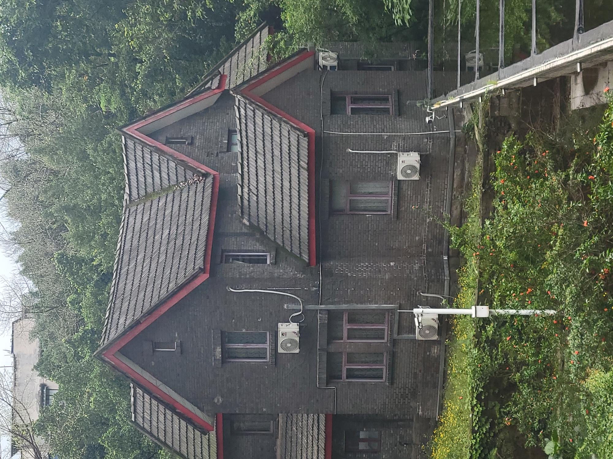 The image displays a multi-story building constructed with dark grey bricks, featuring a prominent, multi-gabled roof covered with dark tiles and distinctive red trim along its edges. The building is largely surrounded by dense, lush green vegetation, including numerous trees and thick bushes, some of which bear small orange and yellow flowers.
Several white outdoor air conditioning compressor units are mounted on the exterior walls of the building, connected by visible piping and conduits. The building has multiple rectangular windows, some appearing with purplish or dark frames.
To the right side of the building, a concrete walkway or bridge structure with white metal railings is visible, extending above a steep, heavily vegetated embankment. This area is also covered with thick green foliage and small flowering plants. The overall scene suggests a blend of architecture and nature, possibly on a hillside or within a verdant urban park setting.
The time of day appears to be daytime, possibly overcast, given the diffuse lighting. There are no people visible in the image, nor any specific activities taking place. No discernible text is present on the building or in the surrounding environment. The context places this scene in Shapingba District, China.
