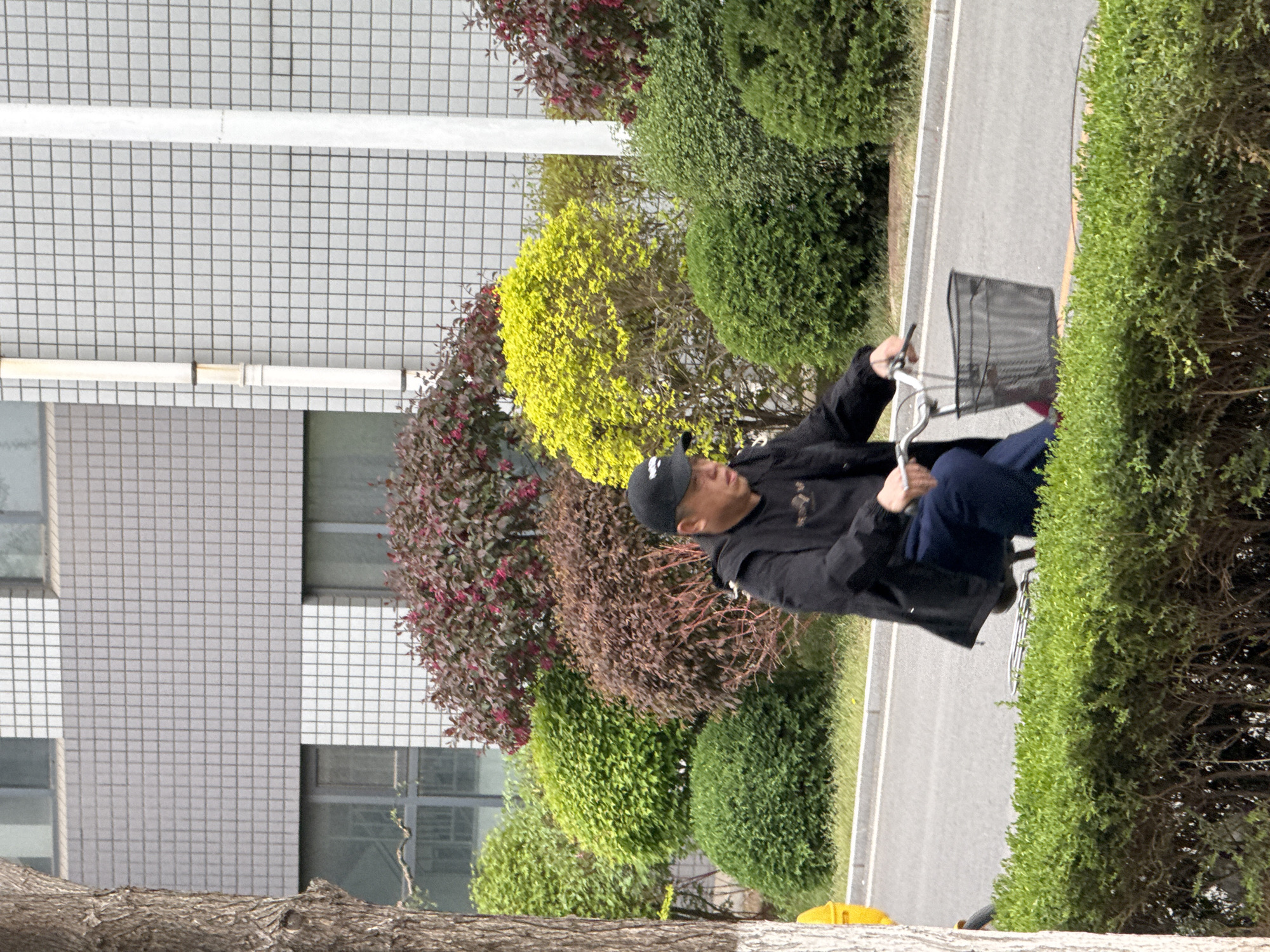 A man rides a bicycle on a paved road in Zhongtun, China. He wears a black jacket, dark pants, and a baseball cap. The bicycle has a wire basket on the front. Lush greenery, including bushes and hedges, lines the side of the road. A large building with a grid-like facade is in the background. A tree trunk is visible in the foreground.