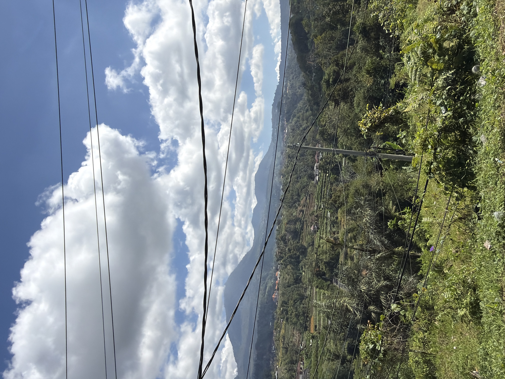 A landscape image captures a mountainous region in Baturiti, Indonesia, under a bright blue sky filled with fluffy white clouds. Foreground elements include a tangle of electrical wires crisscrossing the frame and dense, green vegetation, including grass, ferns, and leafy plants. In the mid-ground, rolling hills are covered in lush trees and terraced fields, suggesting agriculture. Scattered throughout the mid-ground and background are buildings with red-tiled roofs. Dominating the background is a large, imposing mountain range, its peaks softened by atmospheric haze. The scene is devoid of any human presence or discernible activity.