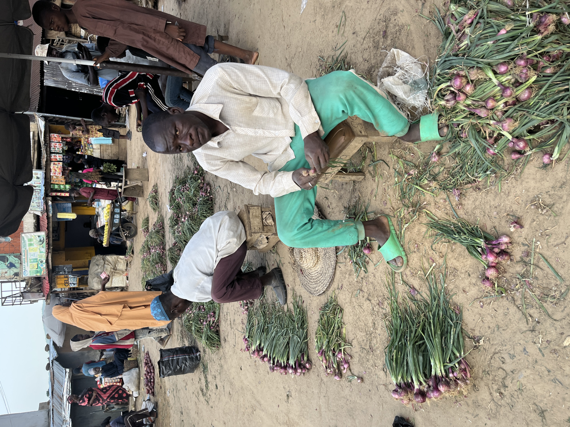 The image depicts a bustling outdoor market scene in Rafin Par, Nigeria. Several individuals are present, appearing to be vendors and customers. The primary activity revolves around the sale of onions, with large piles of them scattered across the sandy ground.
In the foreground, a man wearing a light-colored checkered shirt and green pants is seated on a wooden stool. He is holding an onion and appears to be inspecting it. To his left, another man in a white shirt and dark pants is bent over, arranging bunches of onions on the ground. A straw hat lies near the man in green pants.
Further in the background, other people can be seen interacting and tending to their stalls. Some stalls appear to be selling various goods, indicated by shelves stocked with items. The overall setting suggests a typical market day, likely during daylight hours, given the bright lighting. The ground is sandy and dusty, consistent with an outdoor market environment. There are no obvious indicators of specific weather conditions, but the presence of people suggests it is not extreme.
While some text is visible on signs in the background stalls, it is largely illegible in the provided image. The emotions of the people are not clearly discernible due to the distance and resolution of some figures, but the scene conveys a sense of activity and commerce. The image is captured in a slightly tilted orientation.
