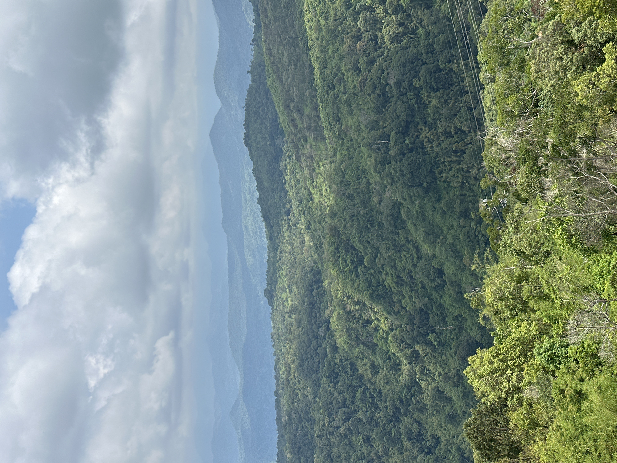 An aerial view captures a lush, mountainous landscape under a cloudy sky in Nam Hải, Vietnam. The image is dominated by rolling hills covered in dense, green vegetation, with multiple layers of mountains receding into the distance, fading to a hazy blue. In the foreground, a dense canopy of trees with varying shades of green and lighter foliage creates a vibrant layer. A few scattered power lines are visible traversing the mid-ground. The sky above is filled with soft, gray clouds with patches of blue peeking through. The scene depicts a natural, undeveloped environment.