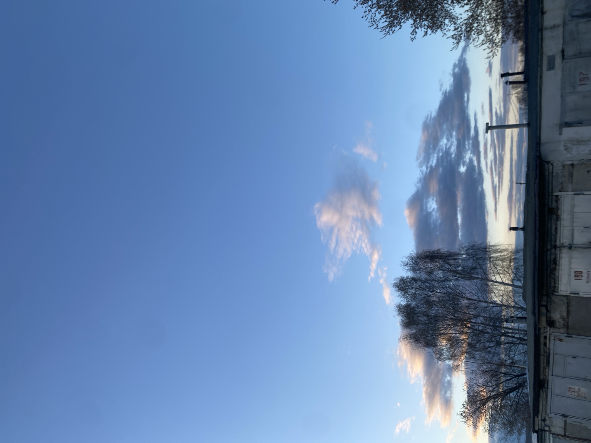 The image captures a serene, wide-angle view of a vast blue sky dominating the frame, with elements of an urban landscape appearing along the bottom and right side. The sky transitions from a clear, deep blue at the top and left to a slightly lighter hue near the horizon. Scattered across the mid-right portion of the sky are elongated clouds, displaying a mix of greys, whites, and subtle pinkish-orange tones, indicative of either sunrise or sunset.
In the foreground, against the backdrop of the sky and clouds, stand several bare deciduous trees, their intricate, dark branches reaching upwards like silhouettes. Along the bottom and extending up the right edge, a row of low-rise concrete structures, possibly garages or storage units, forms the horizon. This building appears weathered, with a flat roof on which several dark, vertical pipes or vents are visible. Faint power lines or cables can be seen running horizontally across the mid-ground, near the top of the structures.
There is no discernible human activity. The scene evokes a quiet, contemplative mood, characteristic of an early morning or late afternoon in a temperate climate, likely during late autumn or winter given the bare trees. On the rightmost garage door, the number "181" is clearly visible in red, with another fainter number, possibly "13" or "15," below it. Some indistinct Cyrillic text is also present. The scene is consistent with an urban or industrial area in Chaikovsky, Russia.