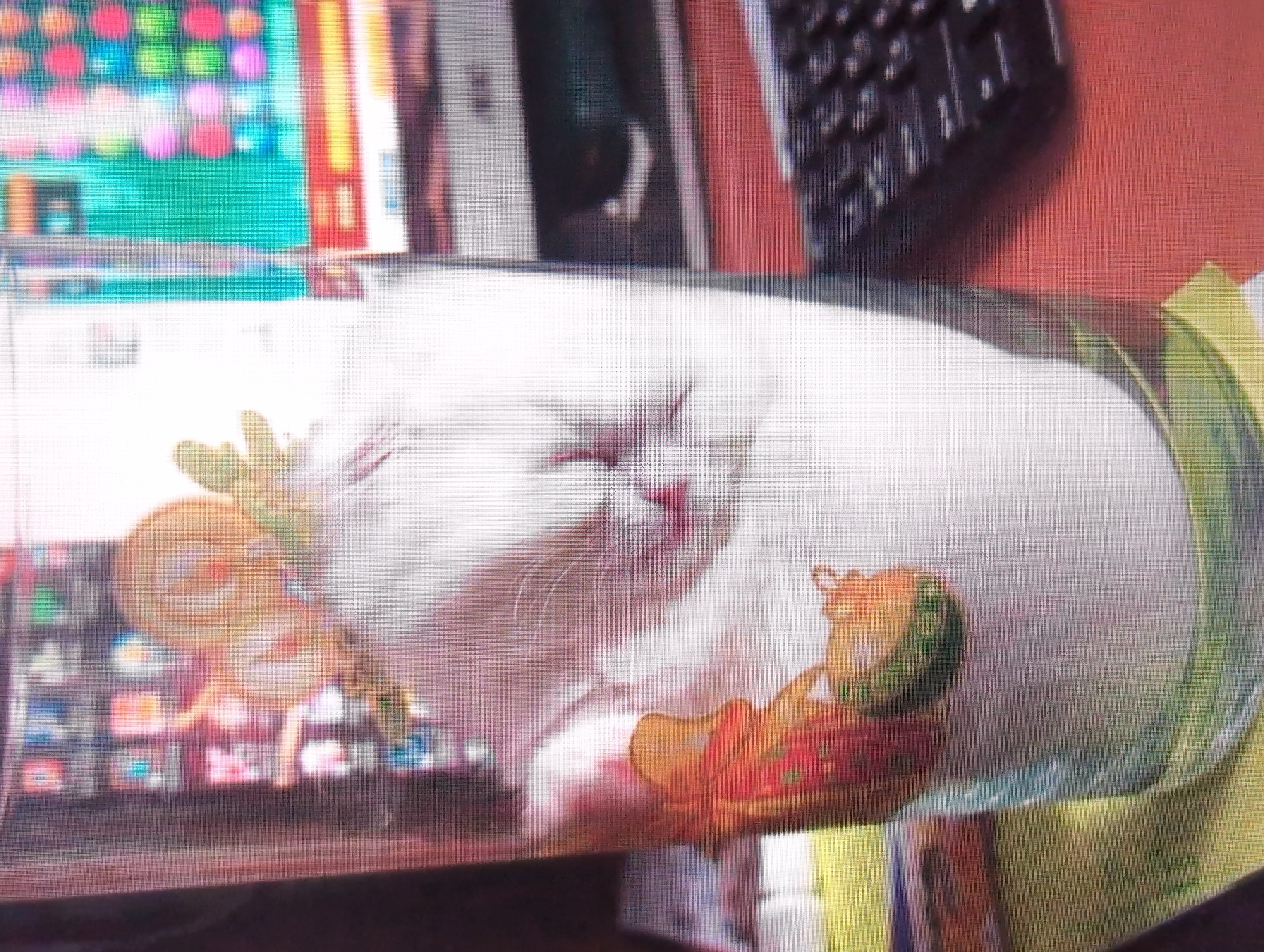 A white cat is sleeping inside a glass with some colorful stickers on it. The cat is curled up and its eyes are closed. A computer screen showing icons, a black keyboard, and what seems like a red desk are visible in the background. The photo appears to be taken indoors. The location of this image in Izhevsk, Russia cannot be determined from the available visual information.